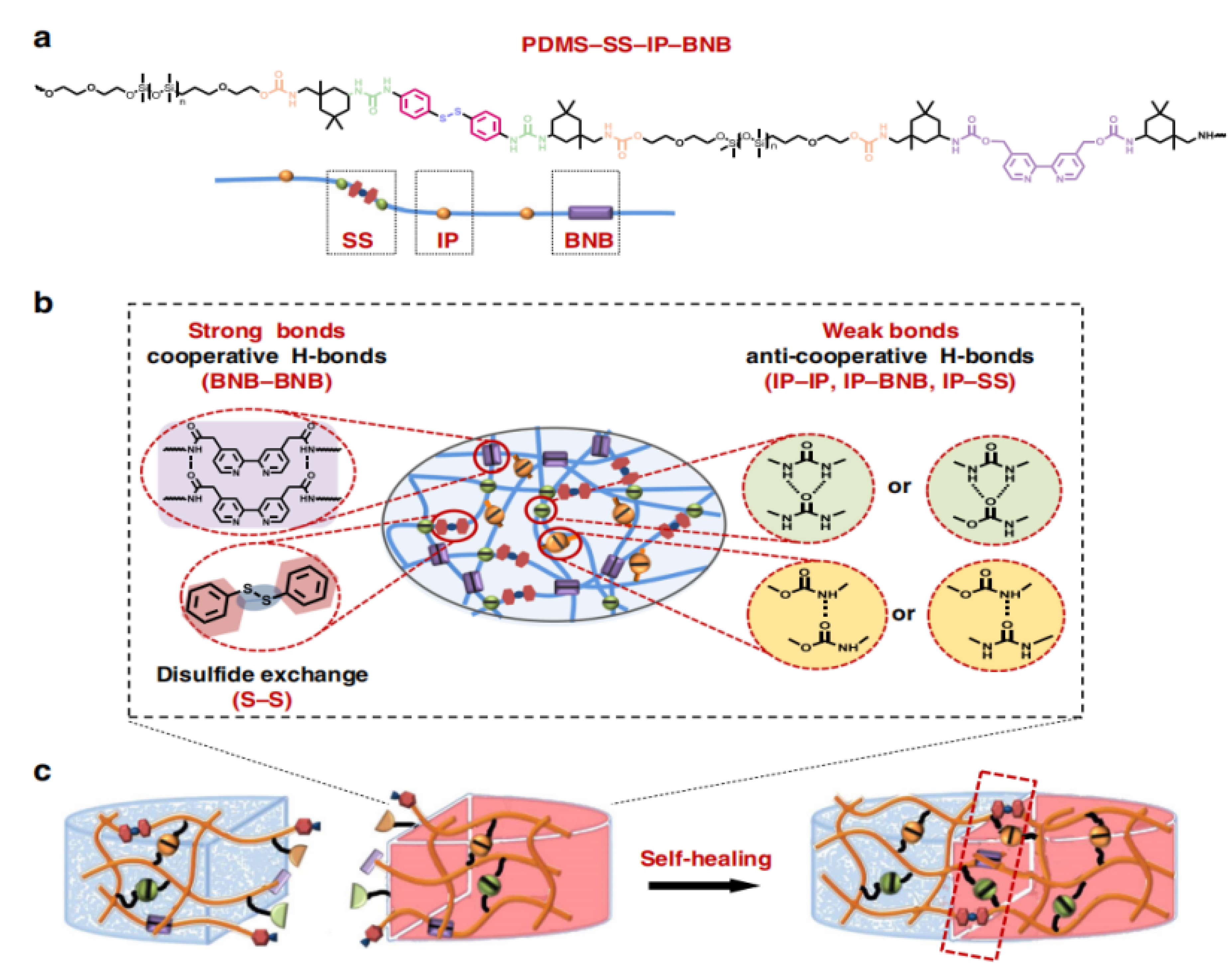 Polymers 15 01545 g011