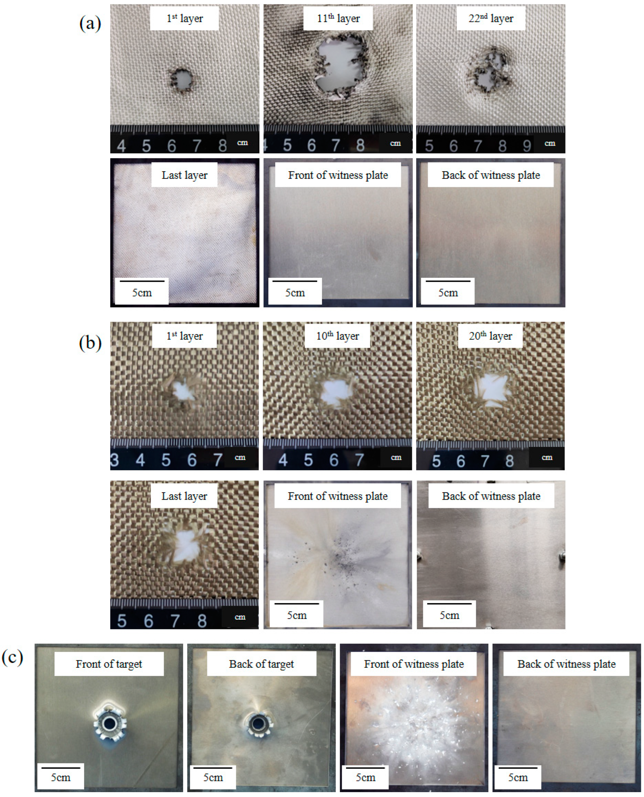 Polymers 15 01547 g004 Polymers 15 01547 g004