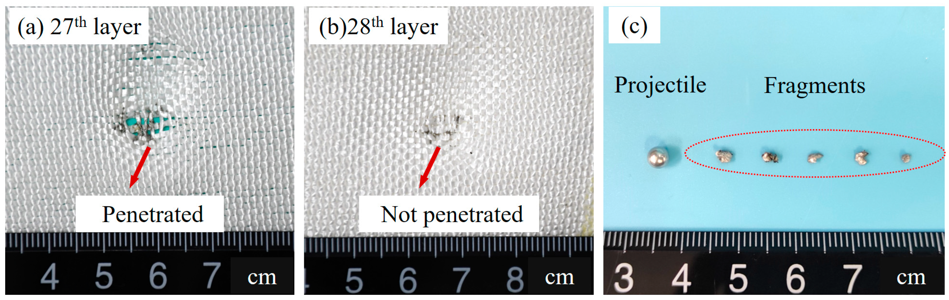 Polymers 15 01547 g006 Polymers 15 01547 g006