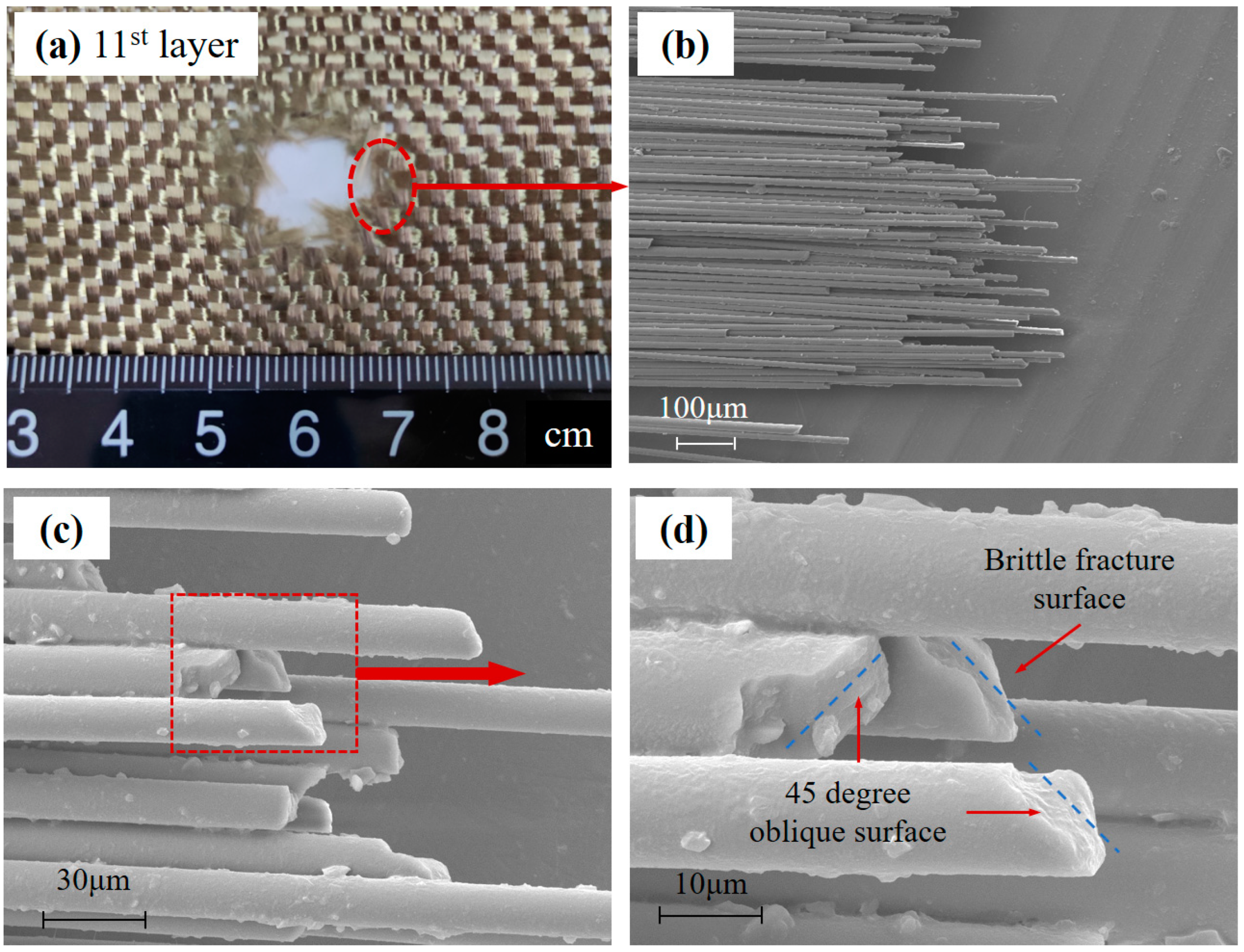 Polymers 15 01547 g008 Polymers 15 01547 g008
