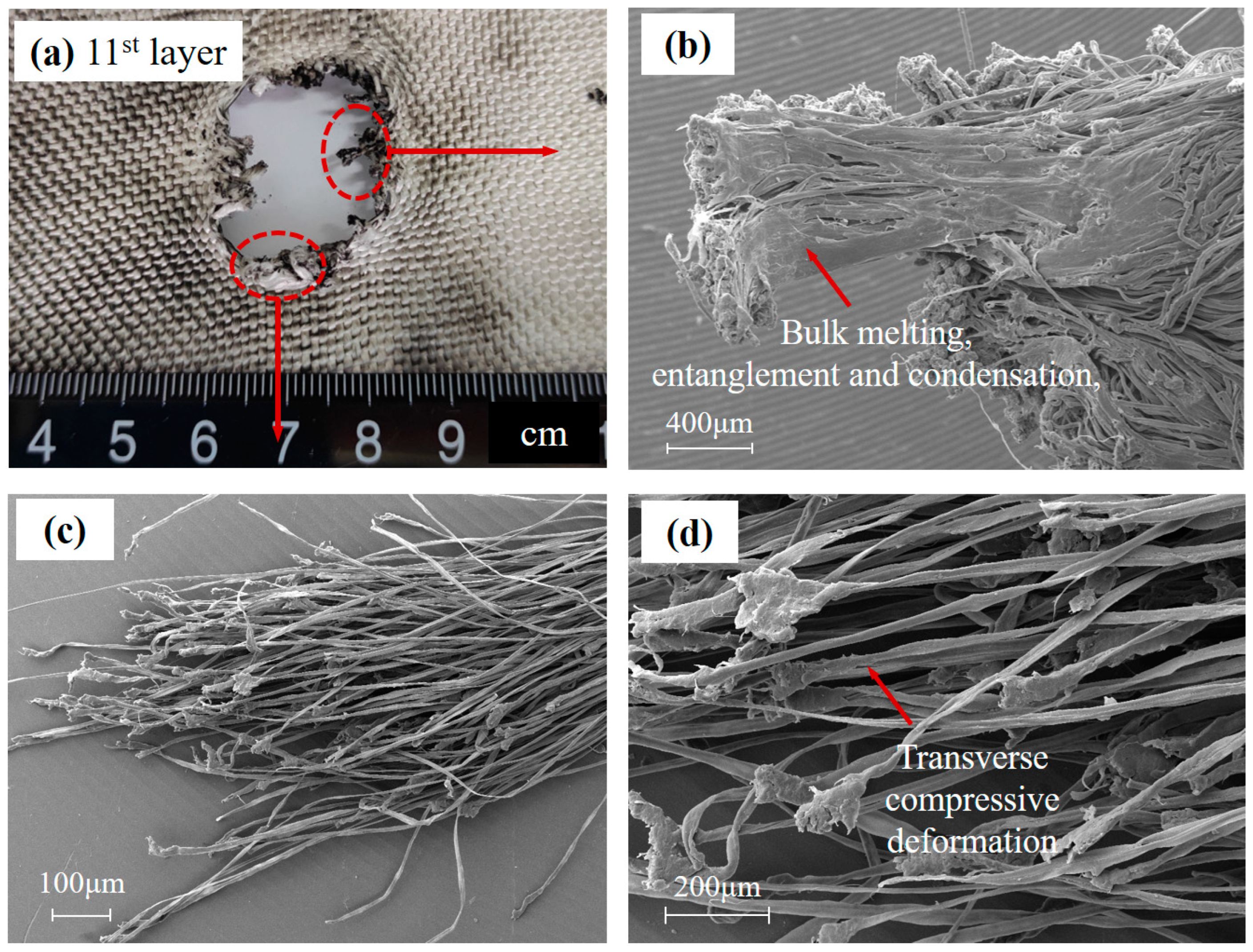 Polymers 15 01547 g009 Polymers 15 01547 g009