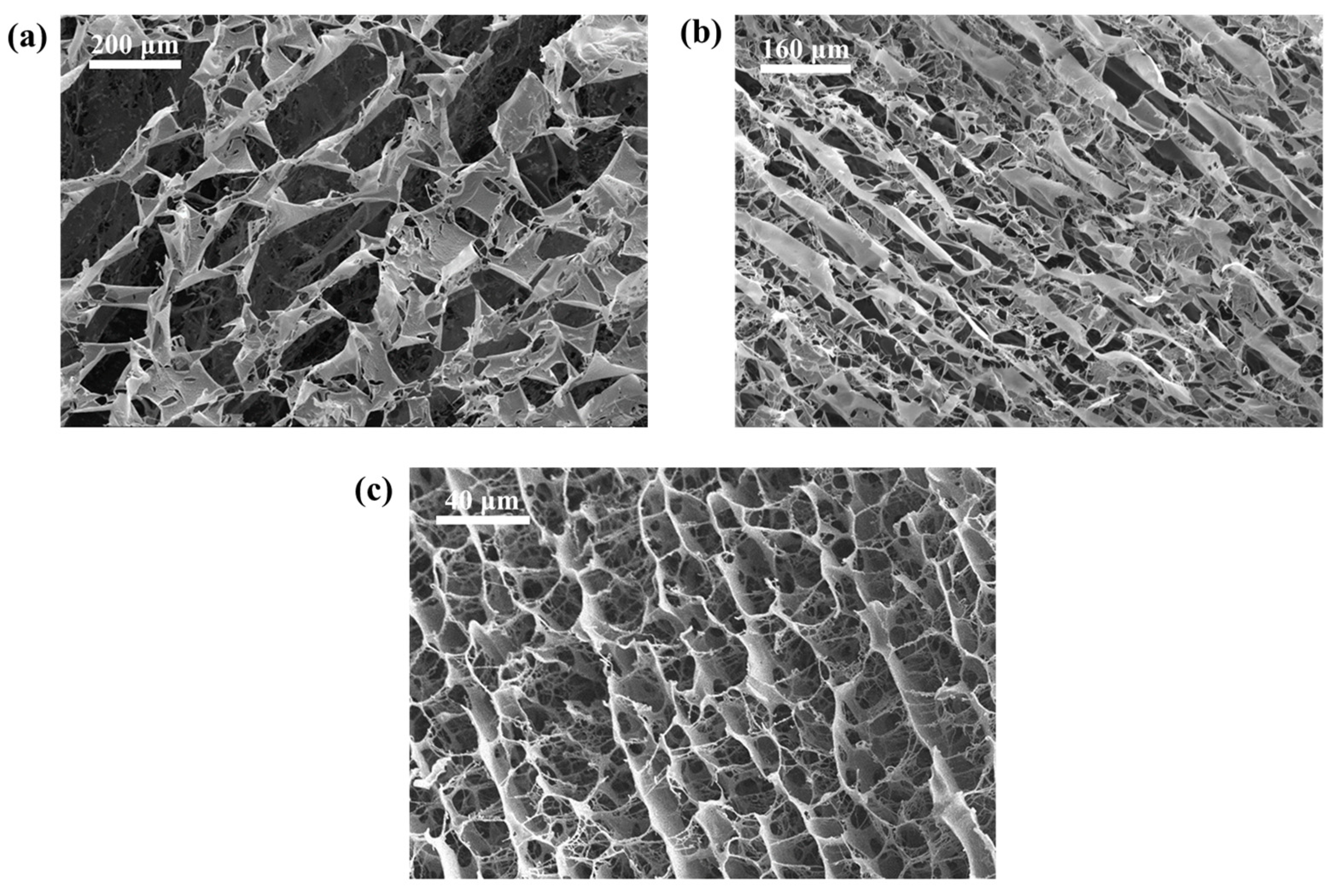 Polymers 15 01560 g014 Polymers 15 01560 g014
