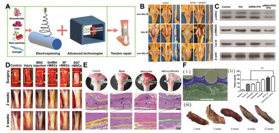 Polymers 15 01566 g003
