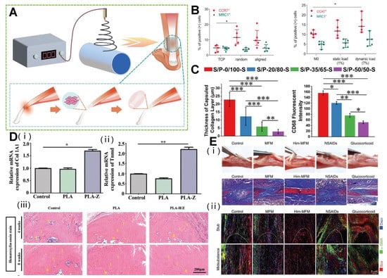Polymers 15 01566 g004