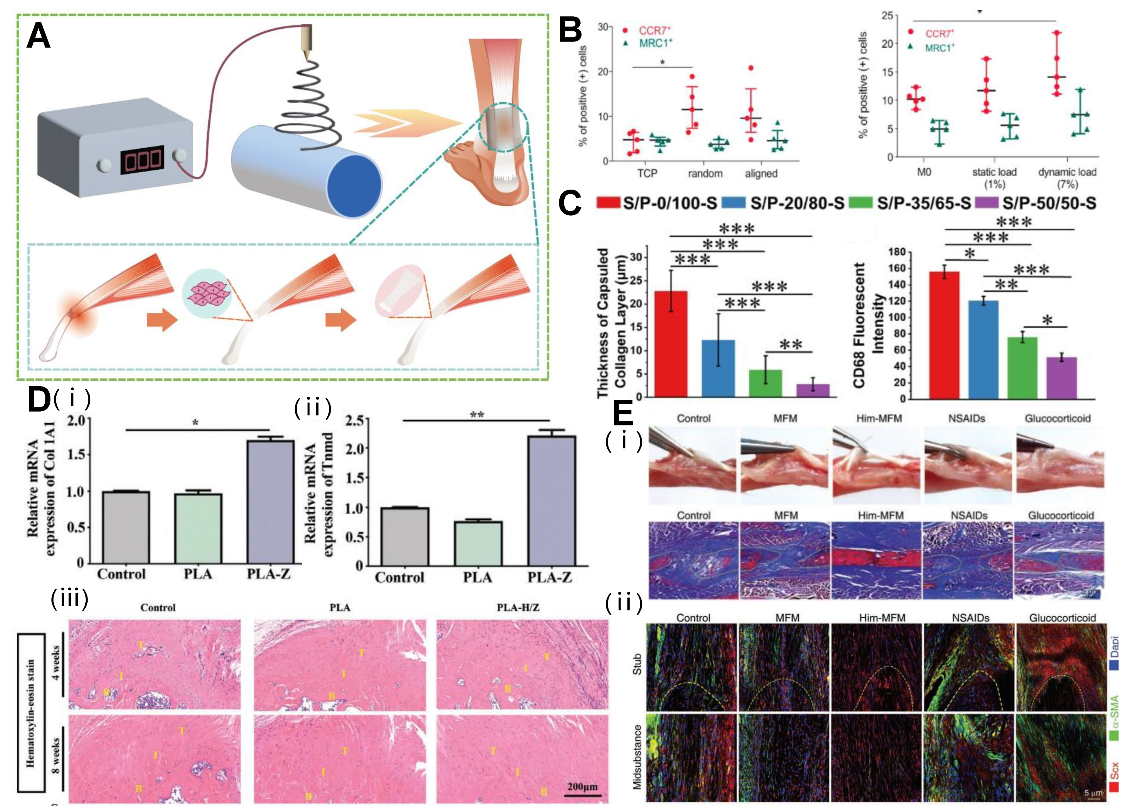 Polymers 15 01566 g004