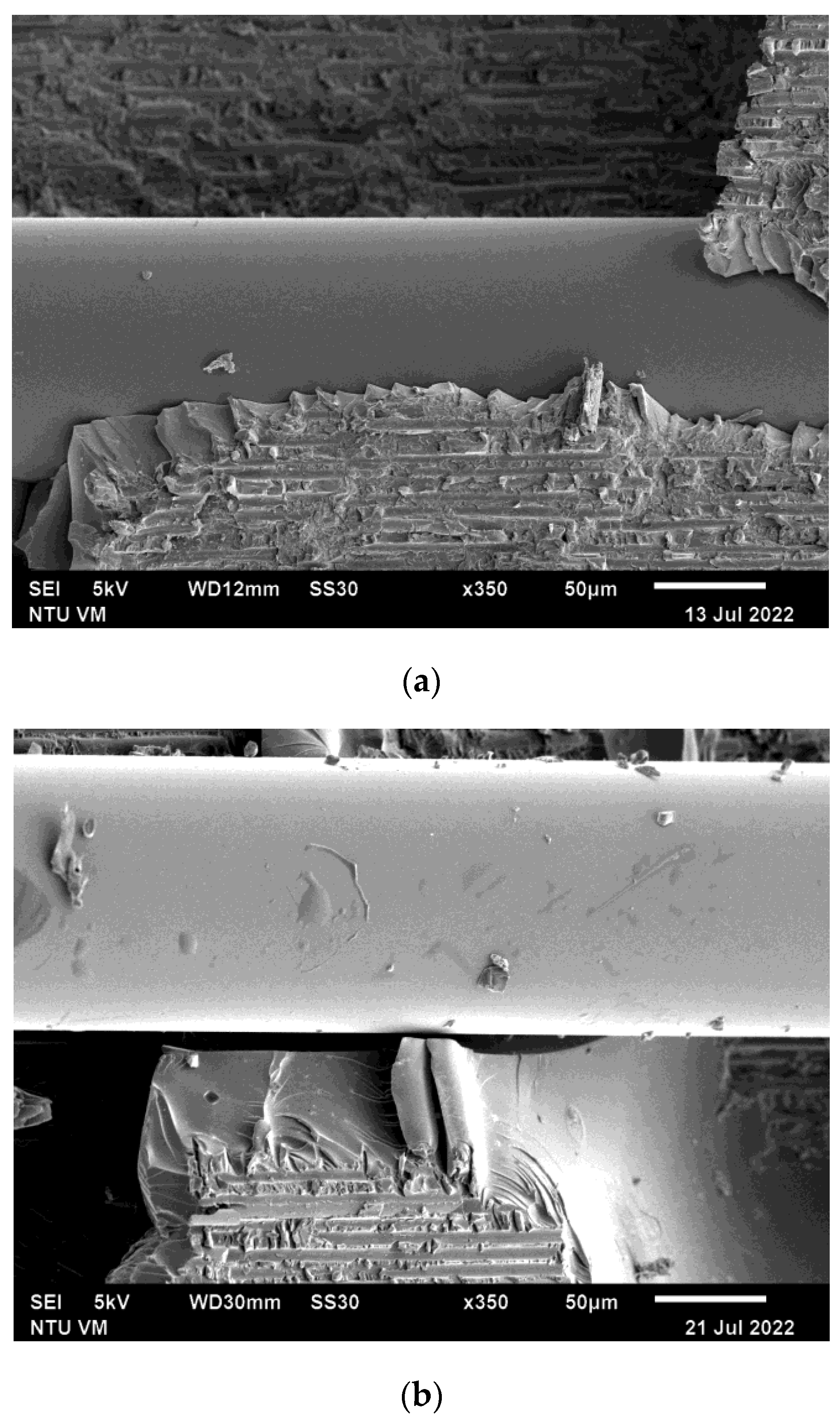 Polymers 15 01575 g017