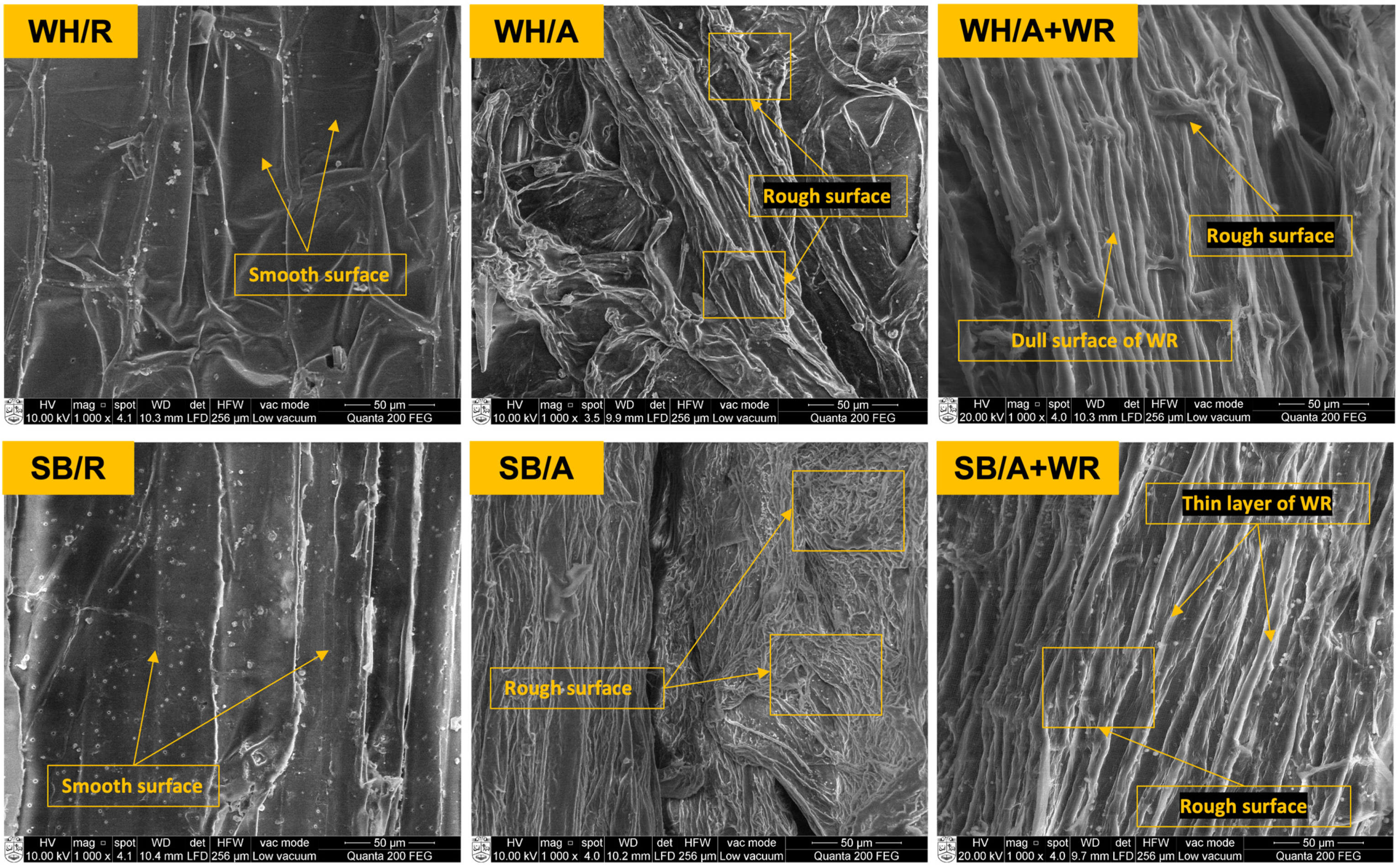 Polymers 15 01609 g003