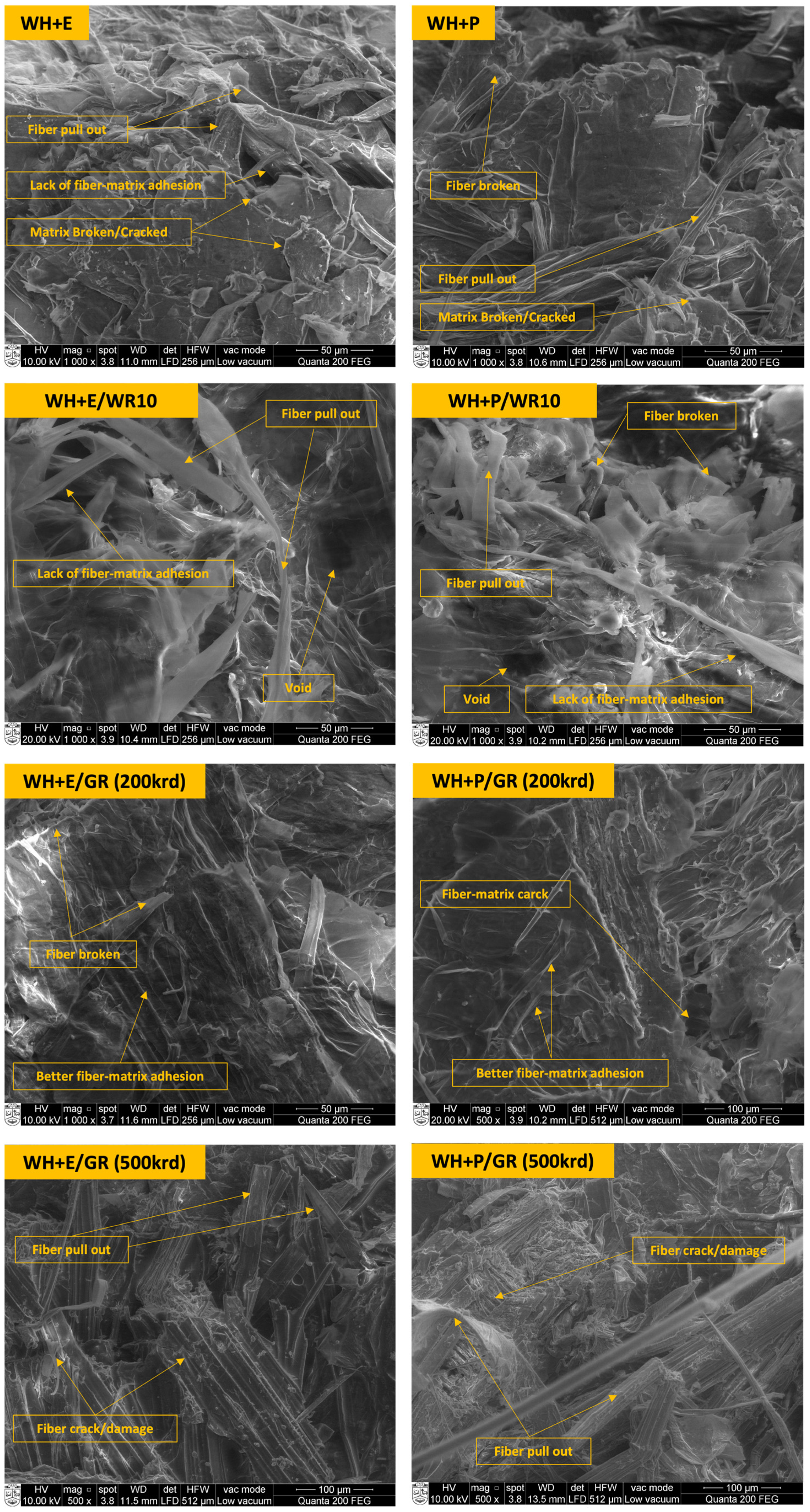 Polymers 15 01609 g008