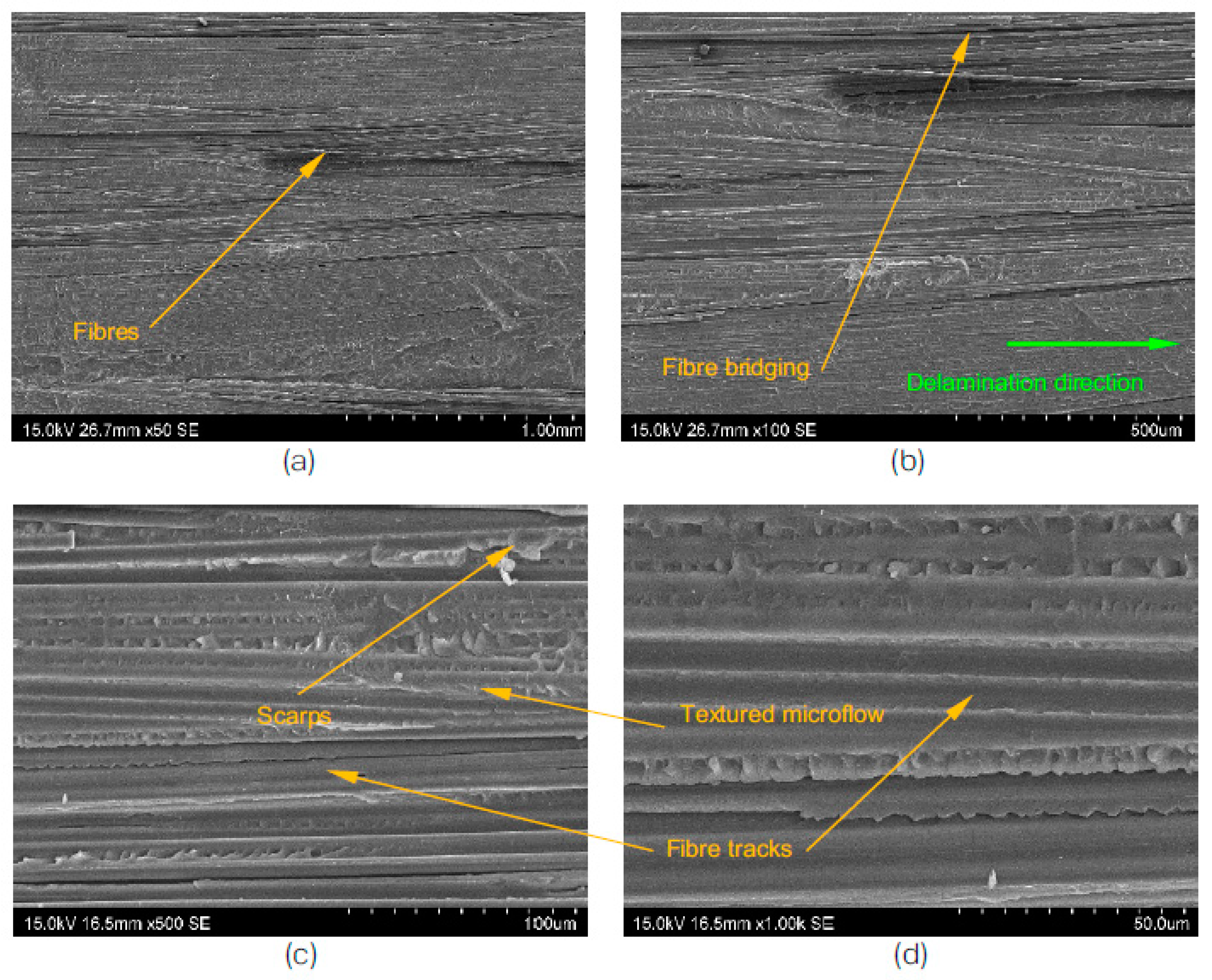 Polymers 15 01611 g008