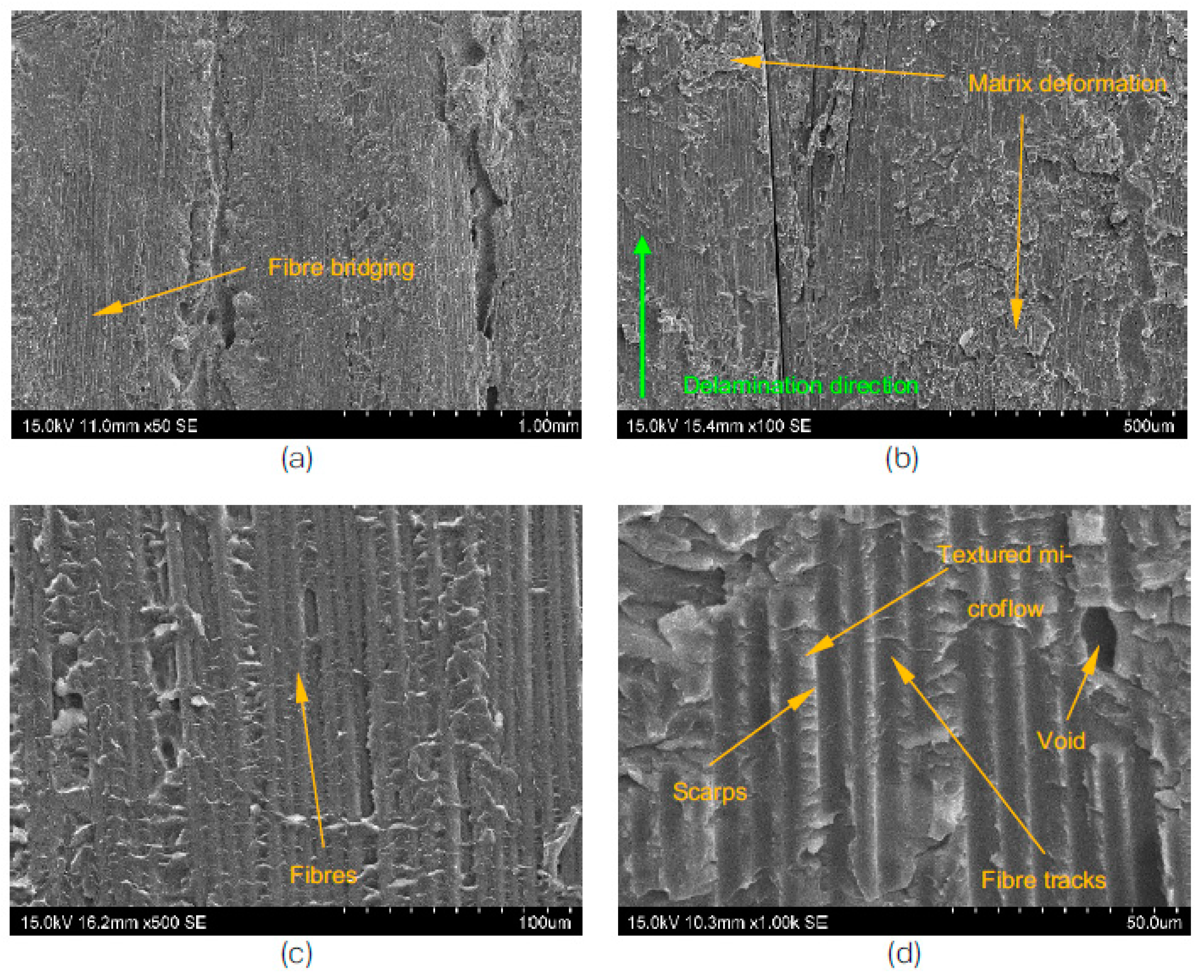 Polymers 15 01611 g009