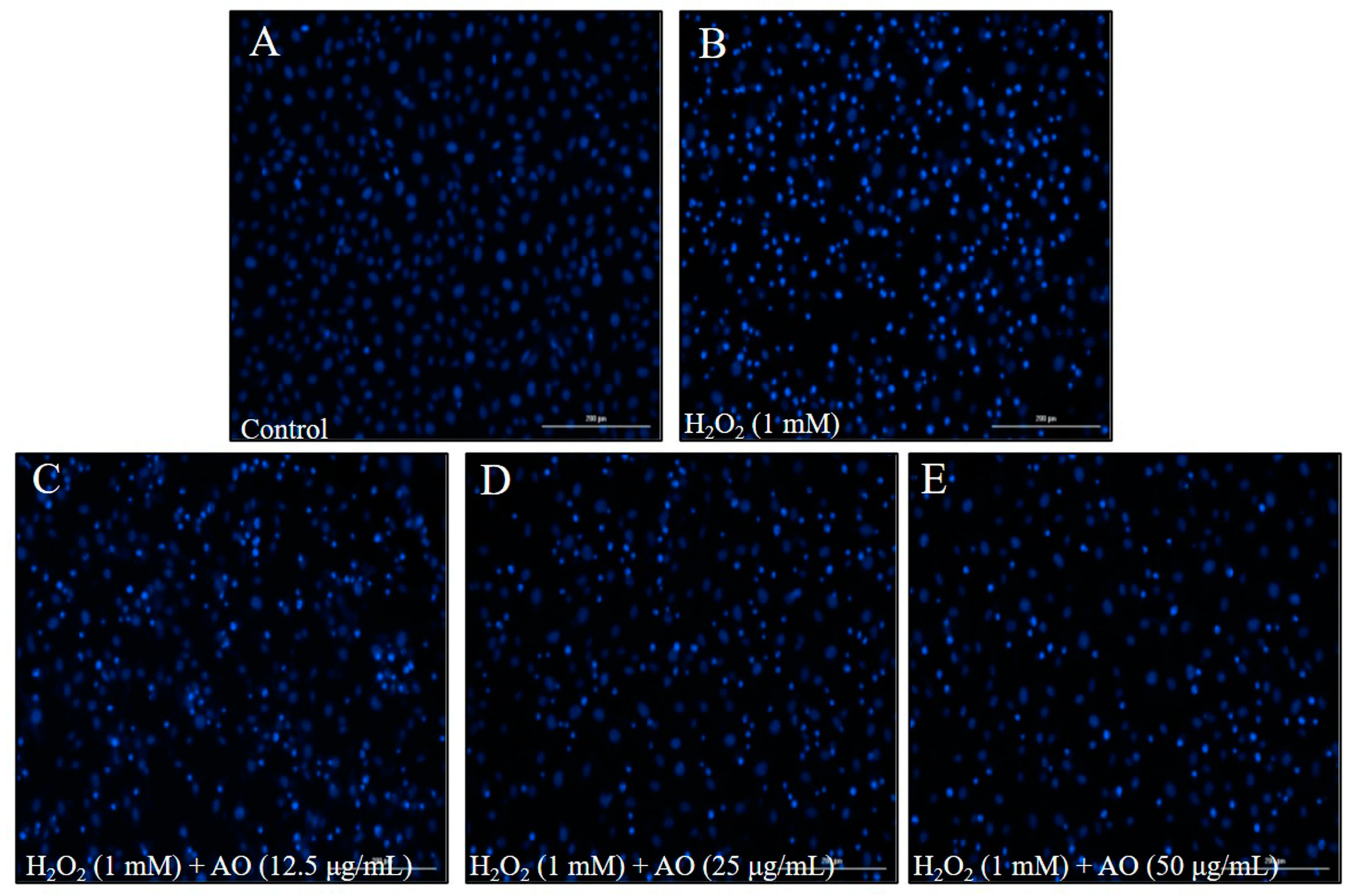Polymers 15 01612 g002