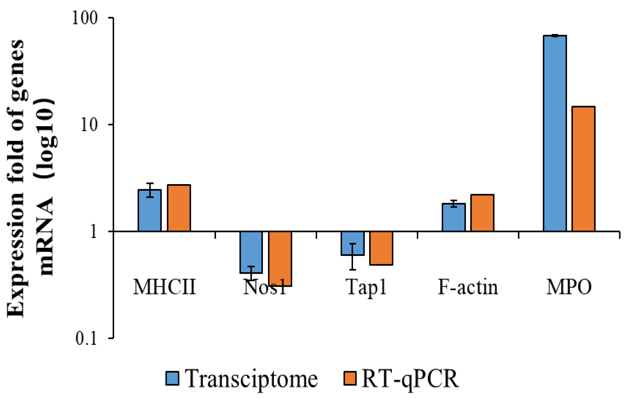 Polymers 15 01613 g006 Polymers 15 01613 g006