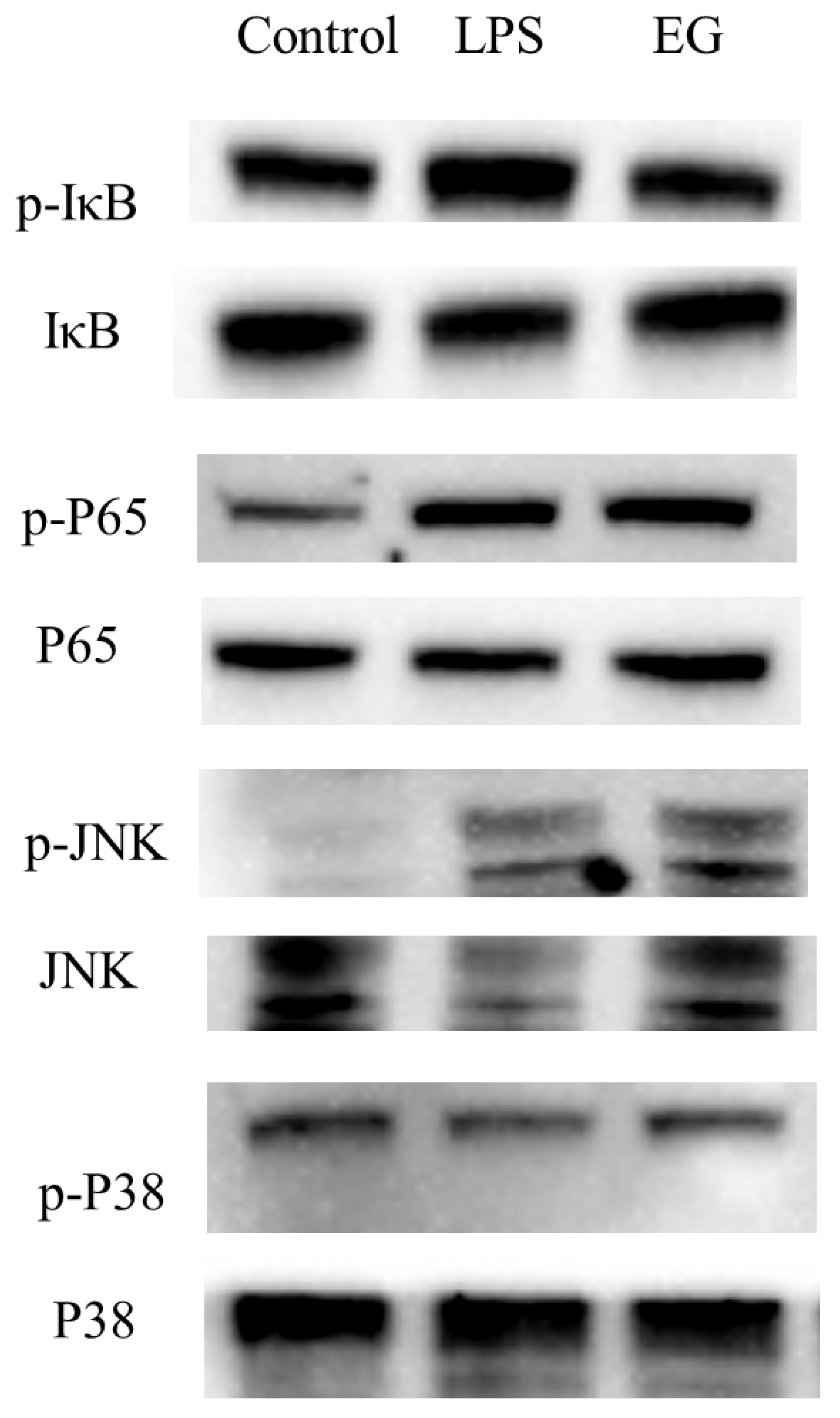Polymers 15 01613 g008 Polymers 15 01613 g008