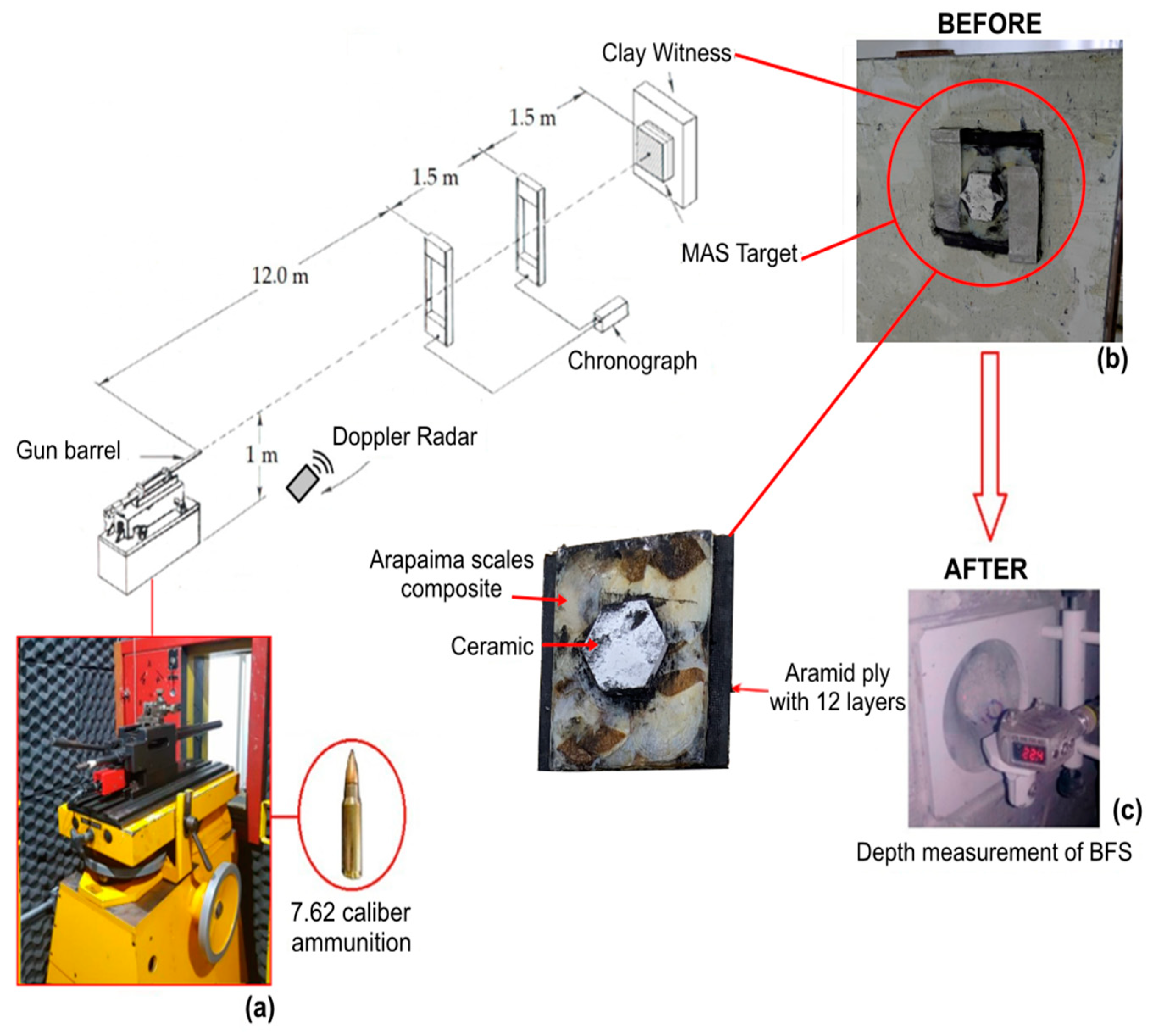Polymers 15 01614 g003