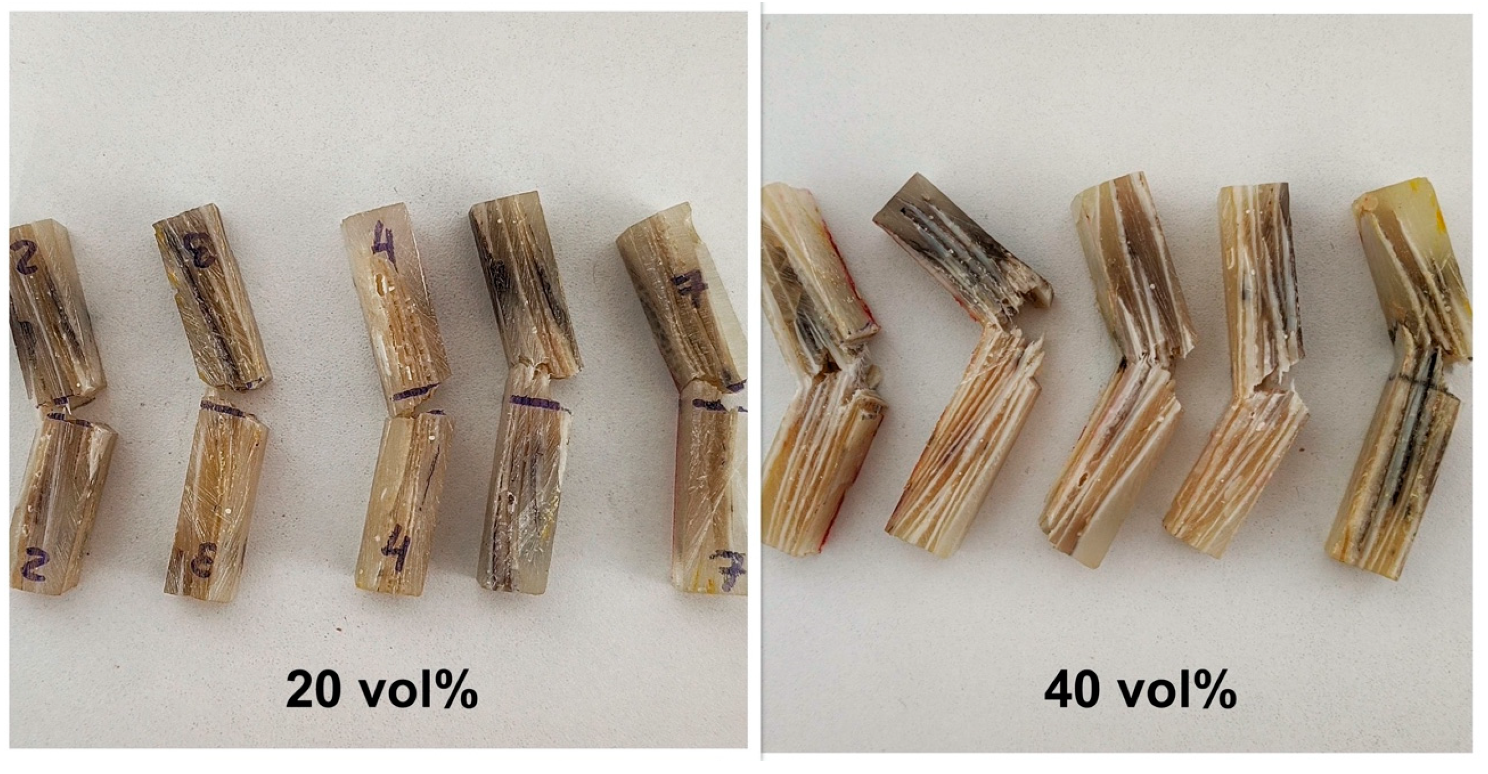 Polymers 15 01614 g007