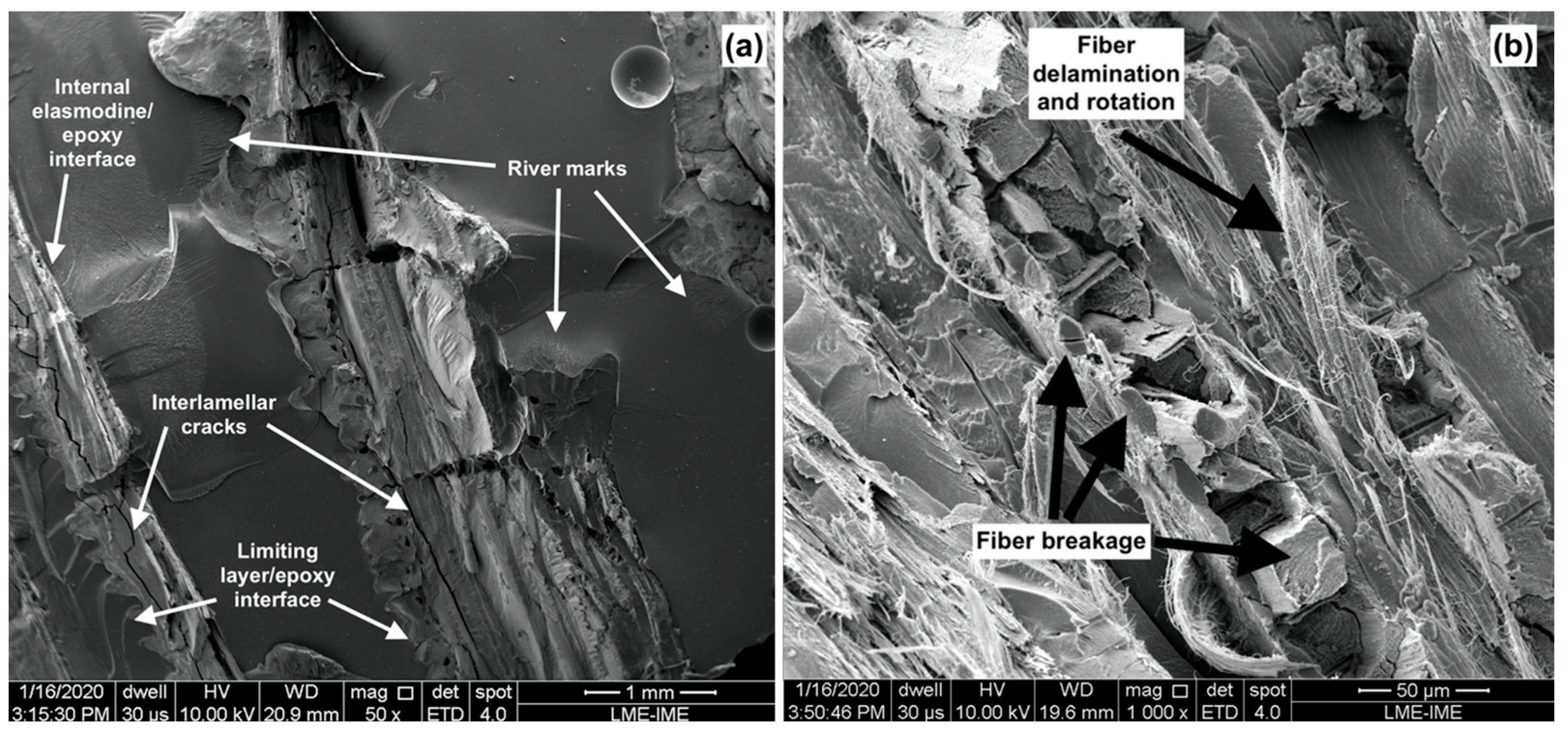 Polymers 15 01614 g008