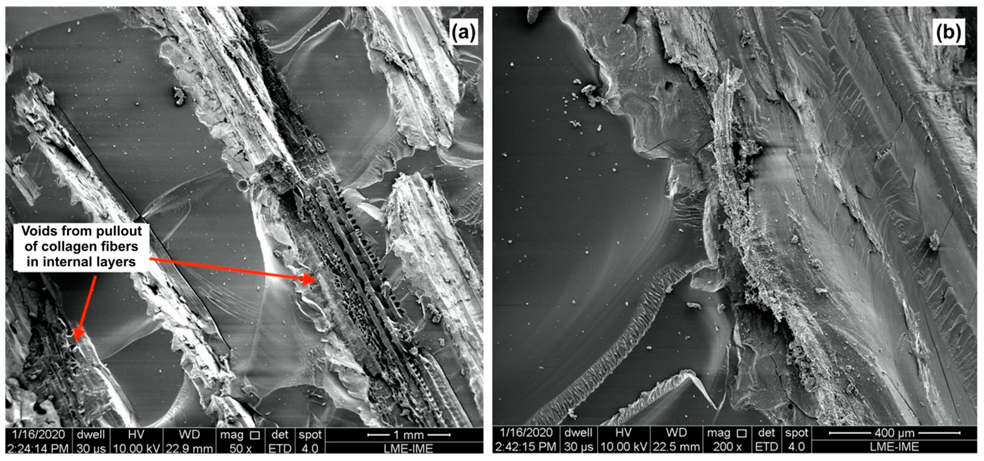 Polymers 15 01614 g009