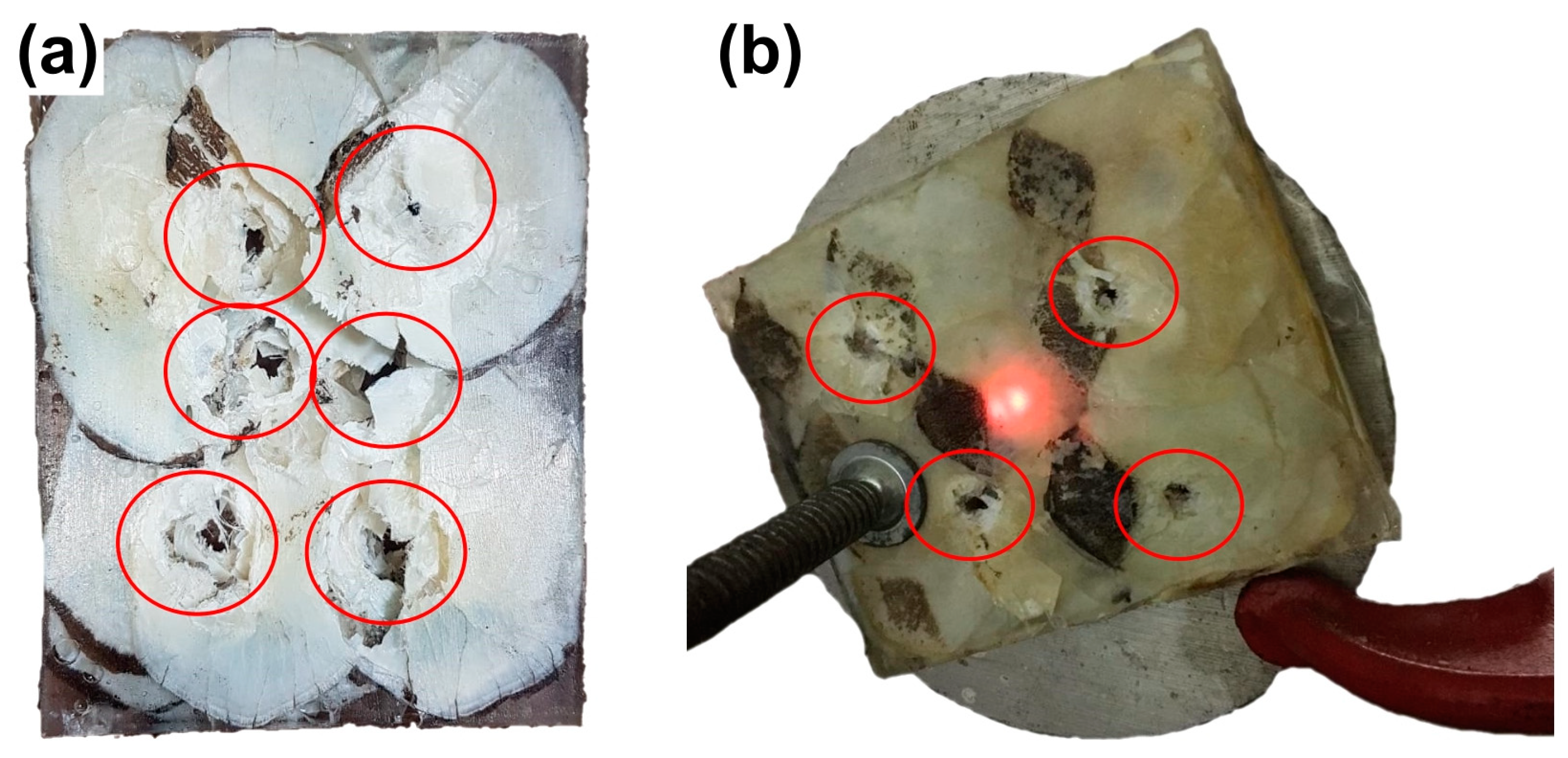 Polymers 15 01614 g010