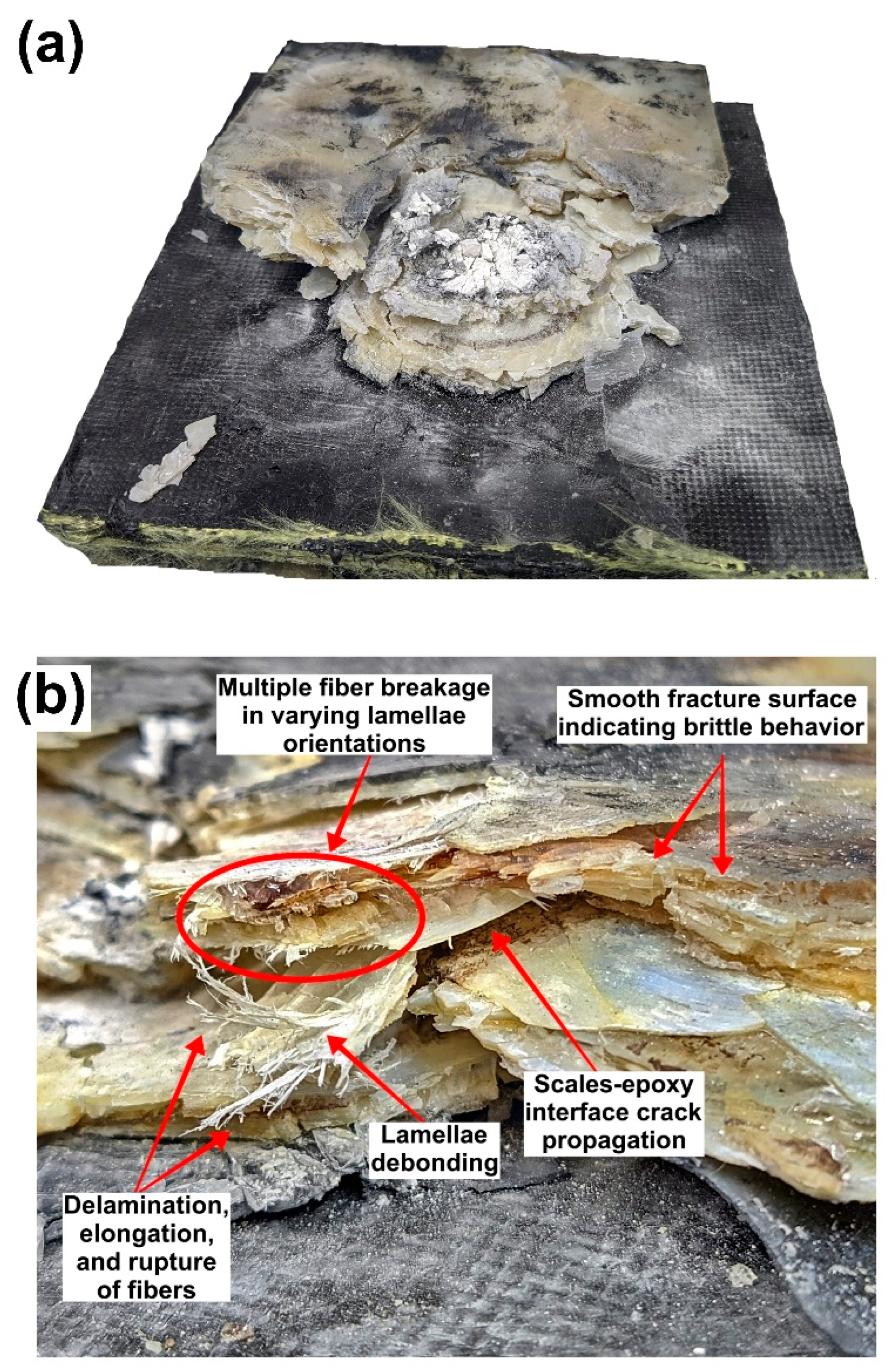 Polymers 15 01614 g011
