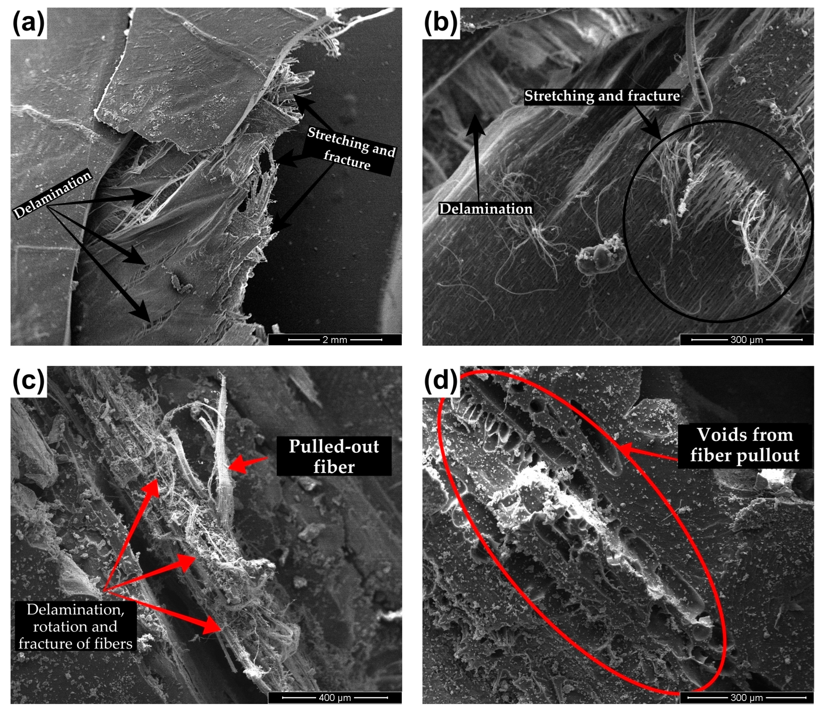 Polymers 15 01614 g012