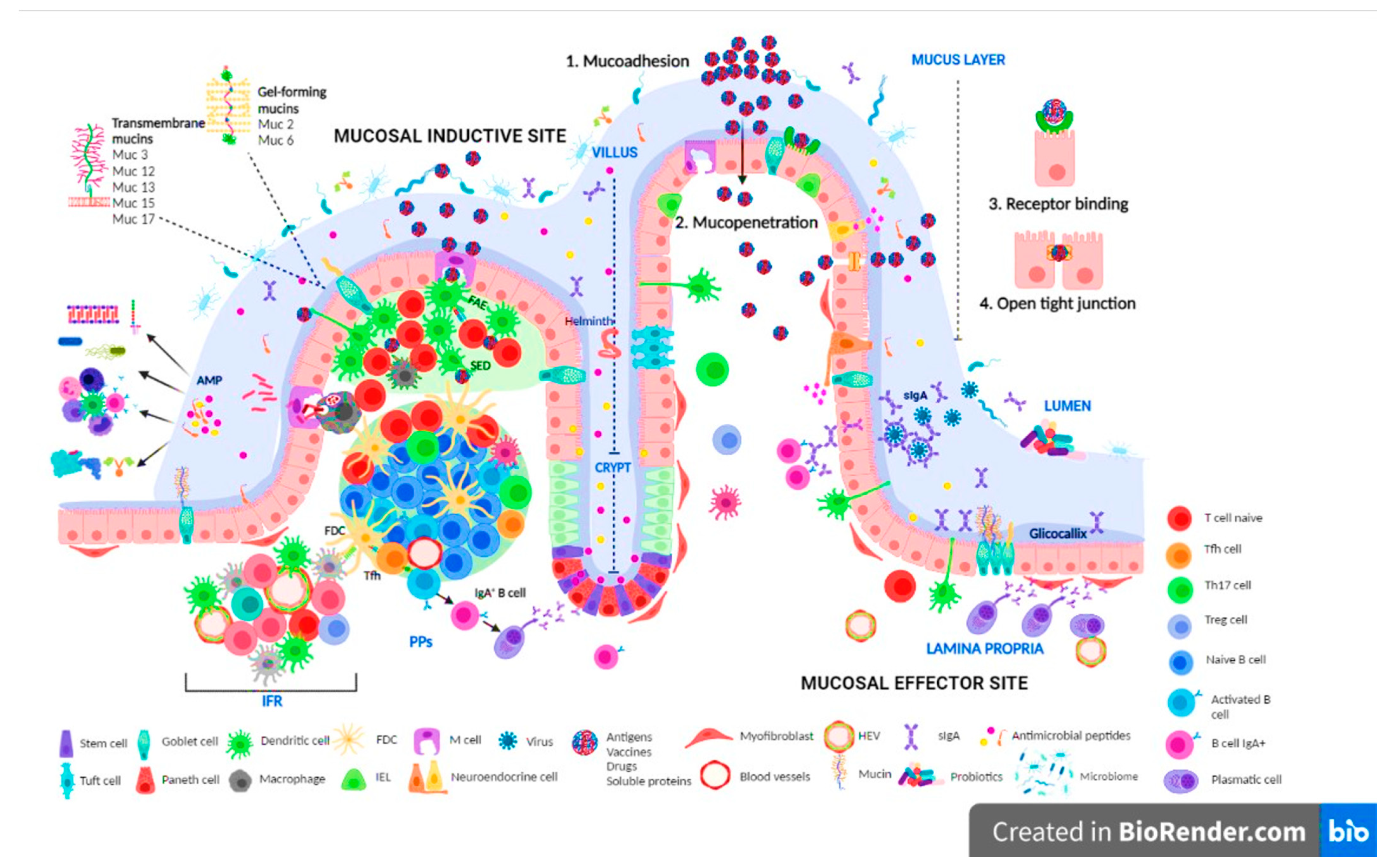 Polymers 15 01615 g001