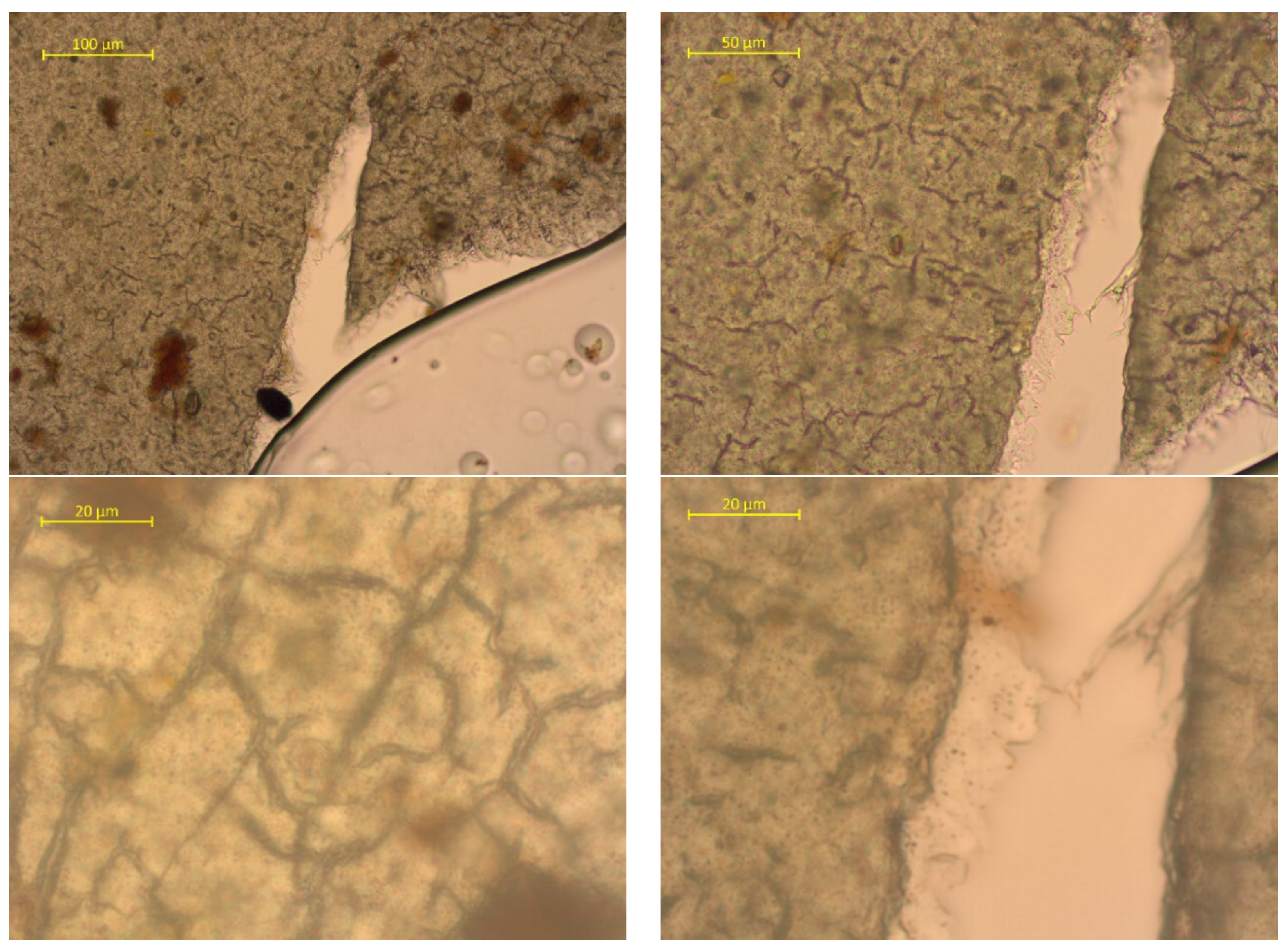 Polymers 15 01619 g007