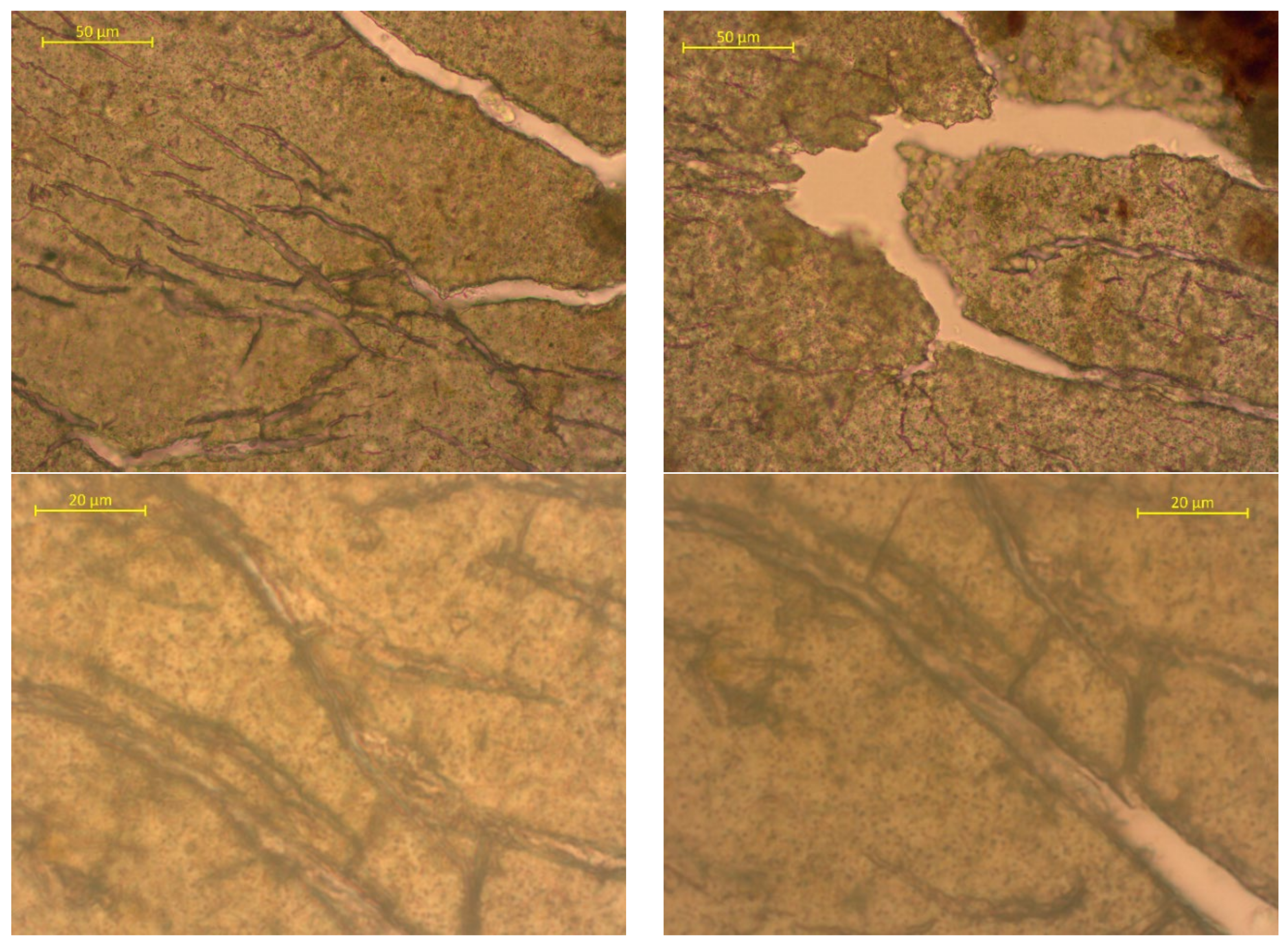 Polymers 15 01619 g008a