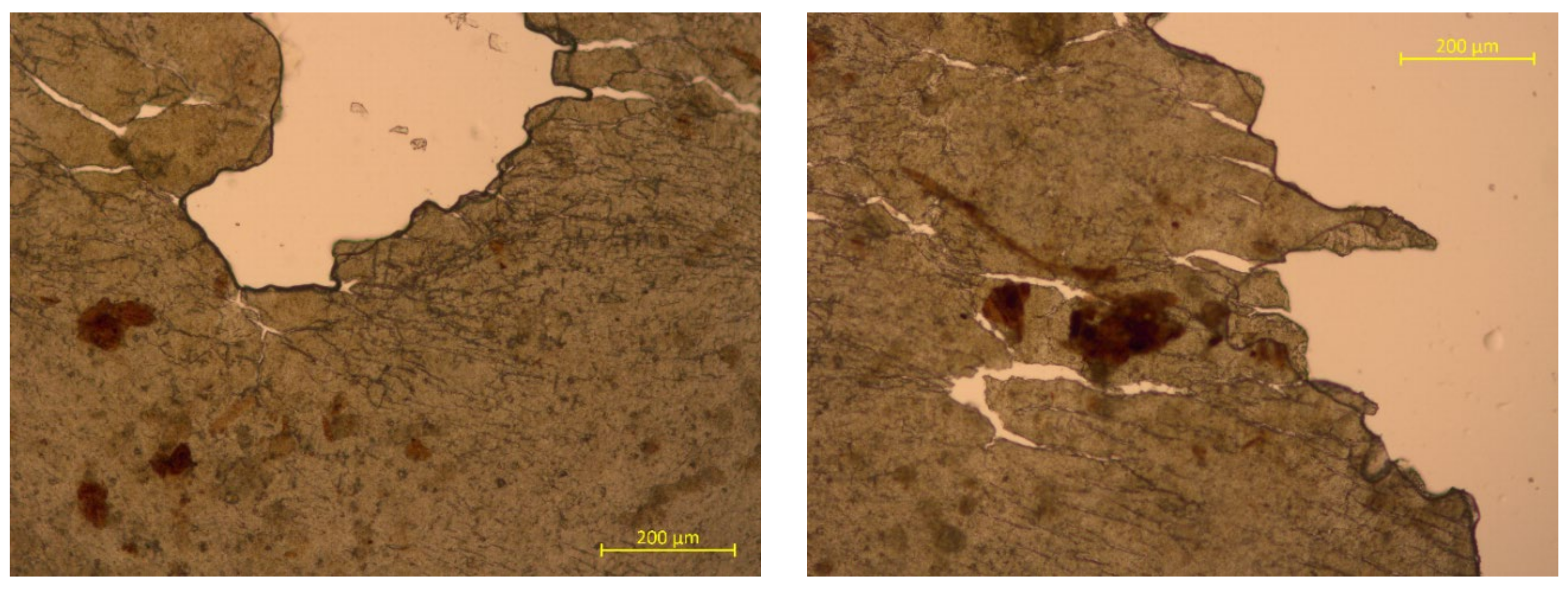 Polymers 15 01619 g008b