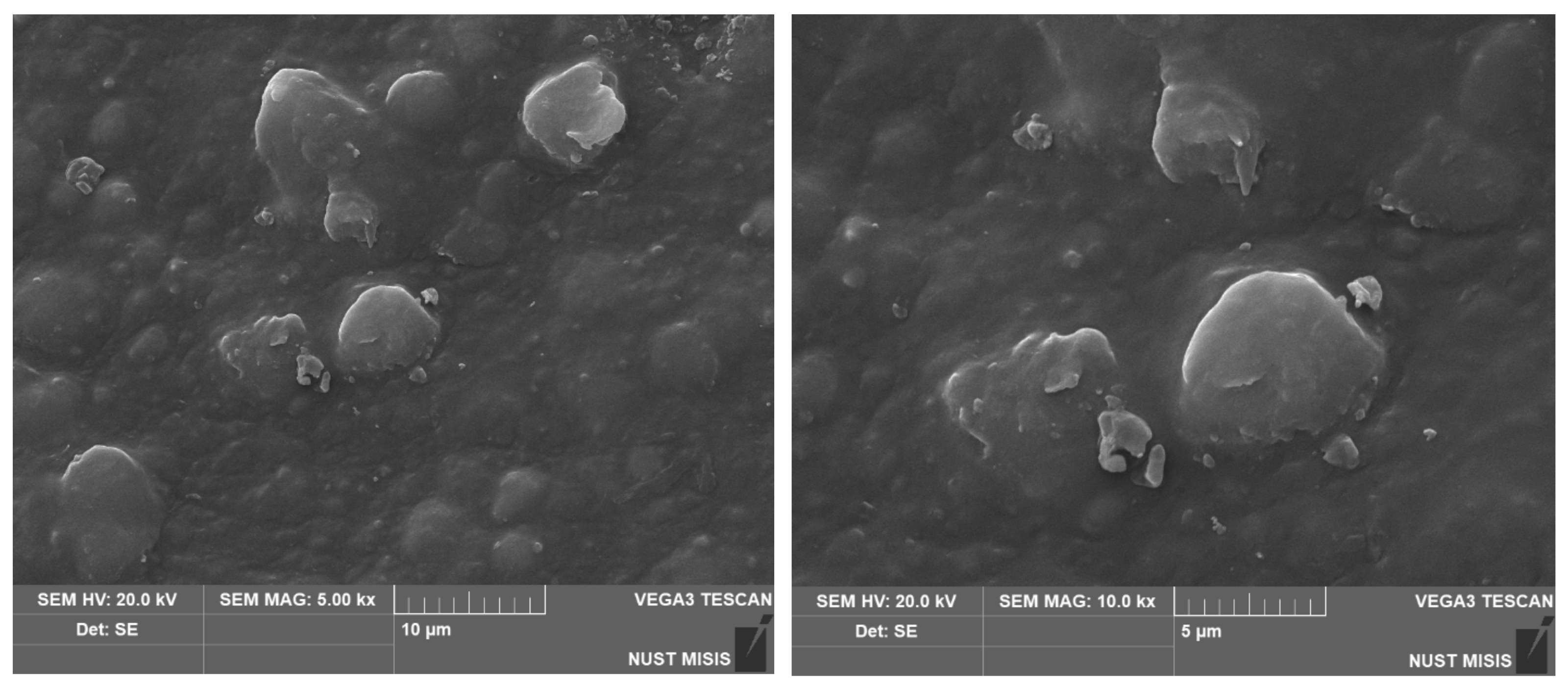 Polymers 15 01619 g010b
