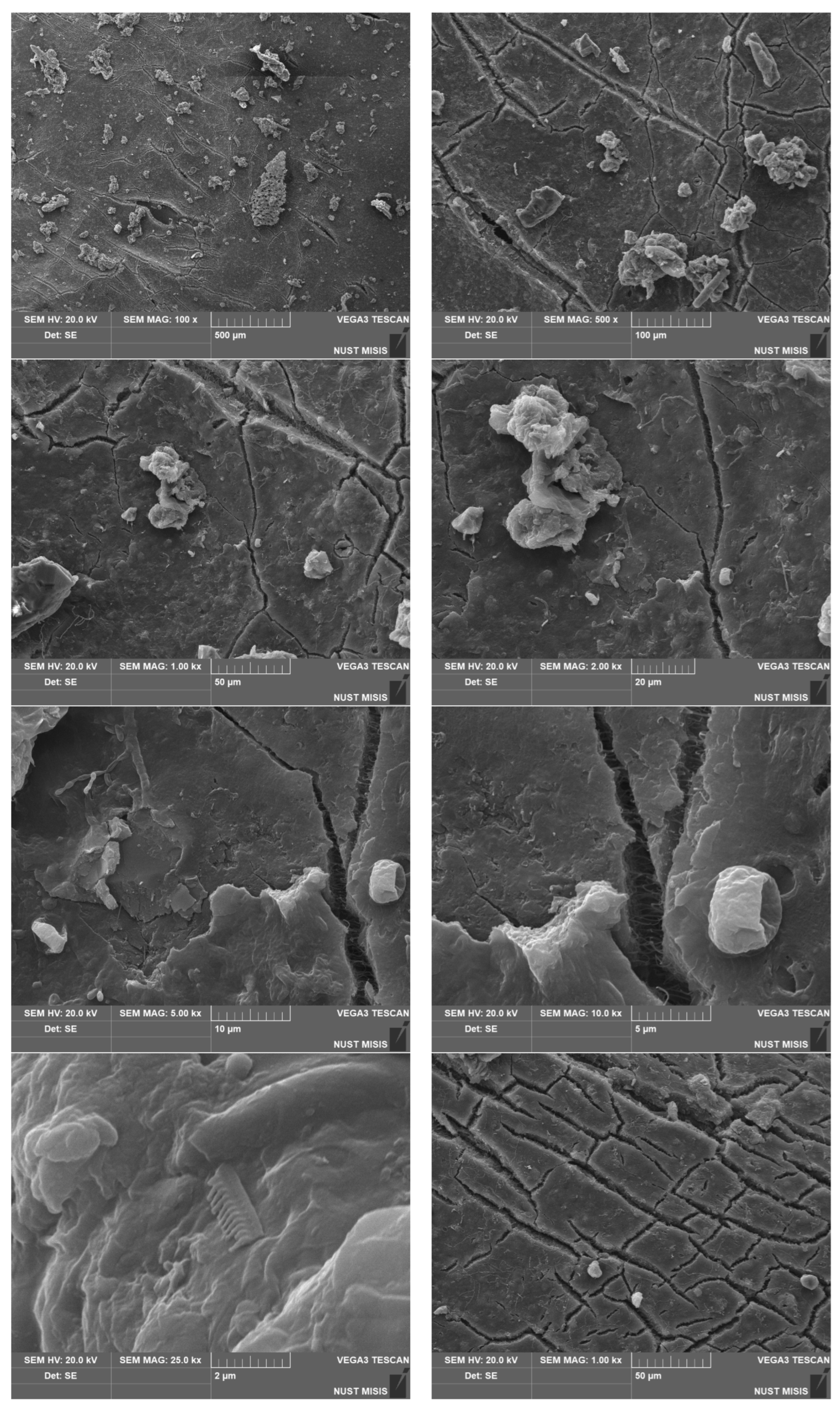 Polymers 15 01619 g012a