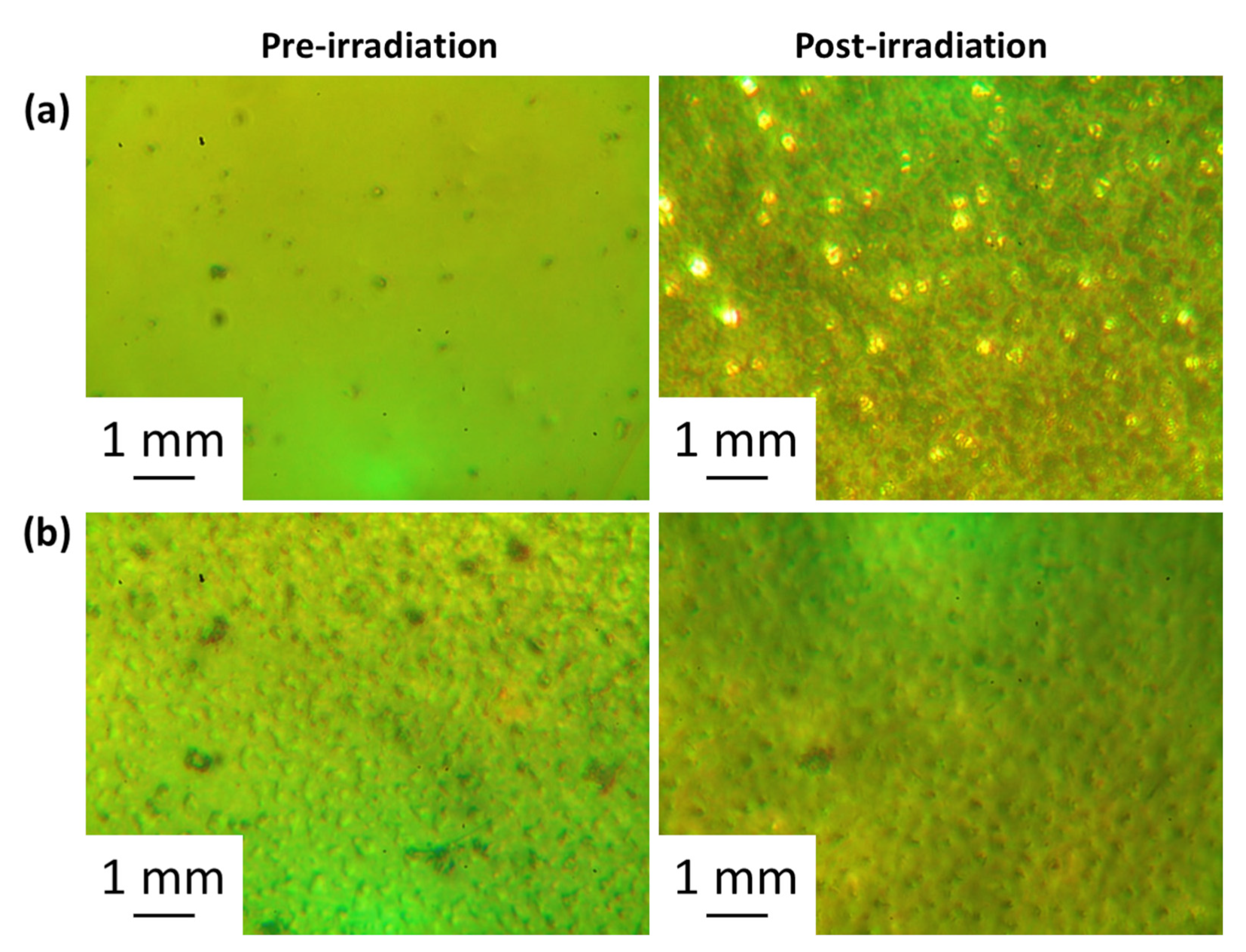 Polymers 15 01632 g006