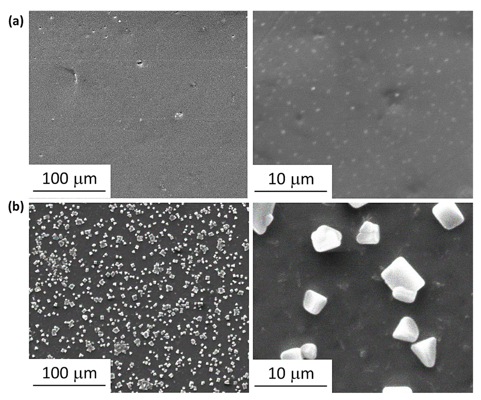 Polymers 15 01632 g008