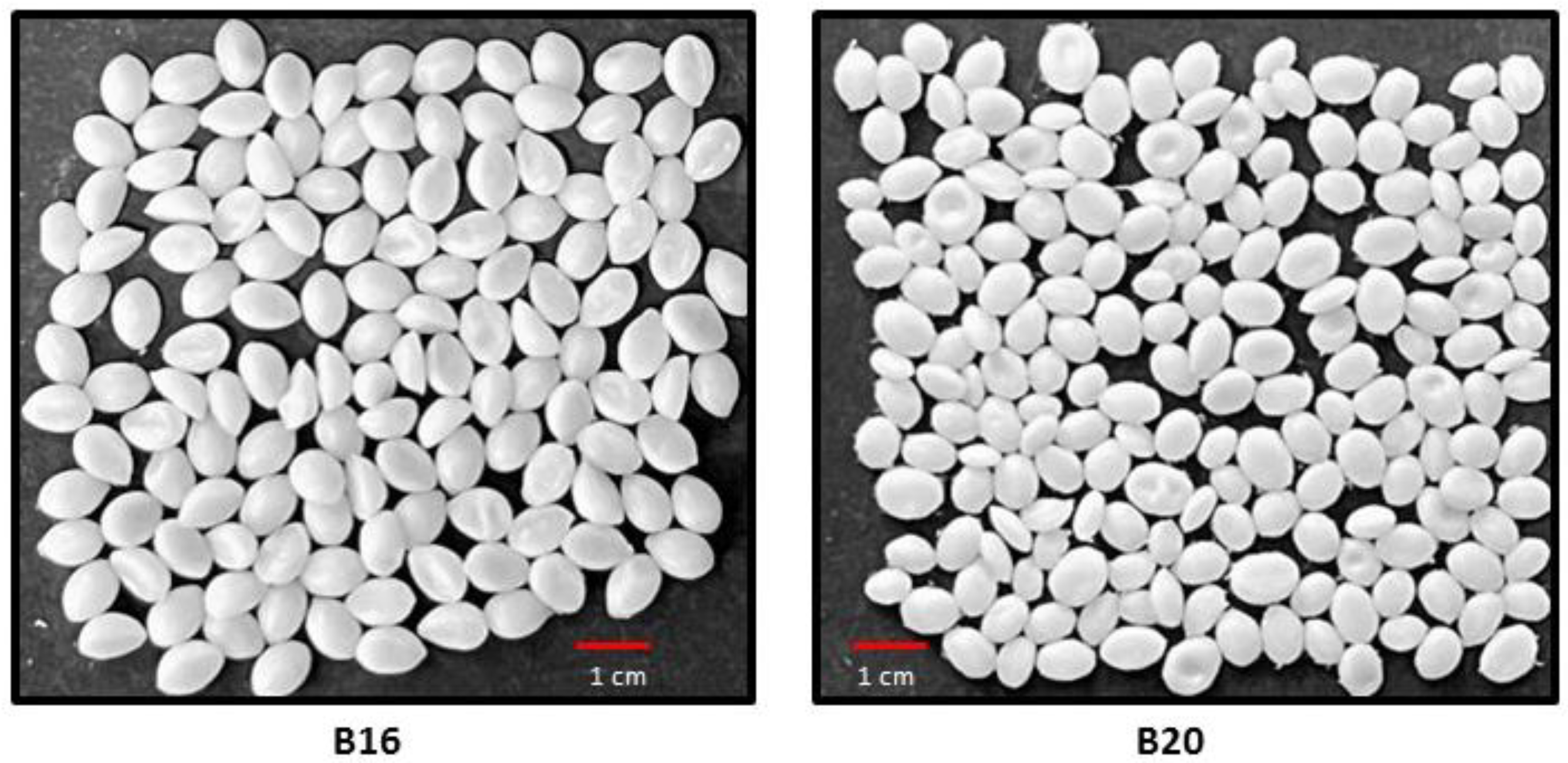Polymers 15 01634 g001