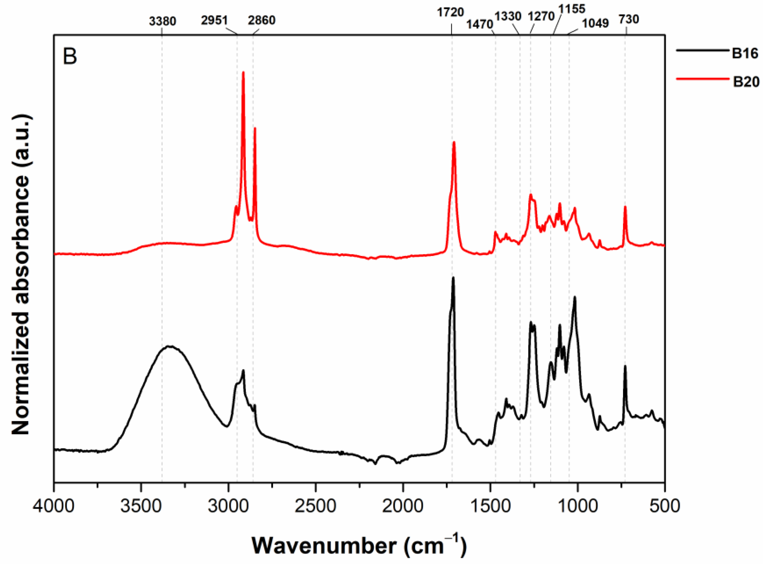 Polymers 15 01634 g002