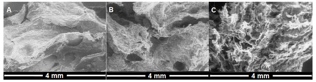 Polymers 15 01635 g001