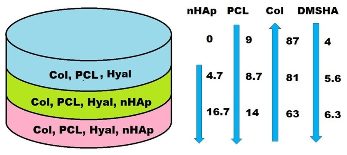 Polymers 15 01635 g006