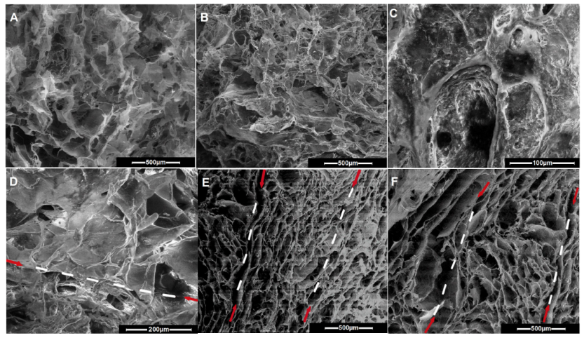 Polymers 15 01635 g008