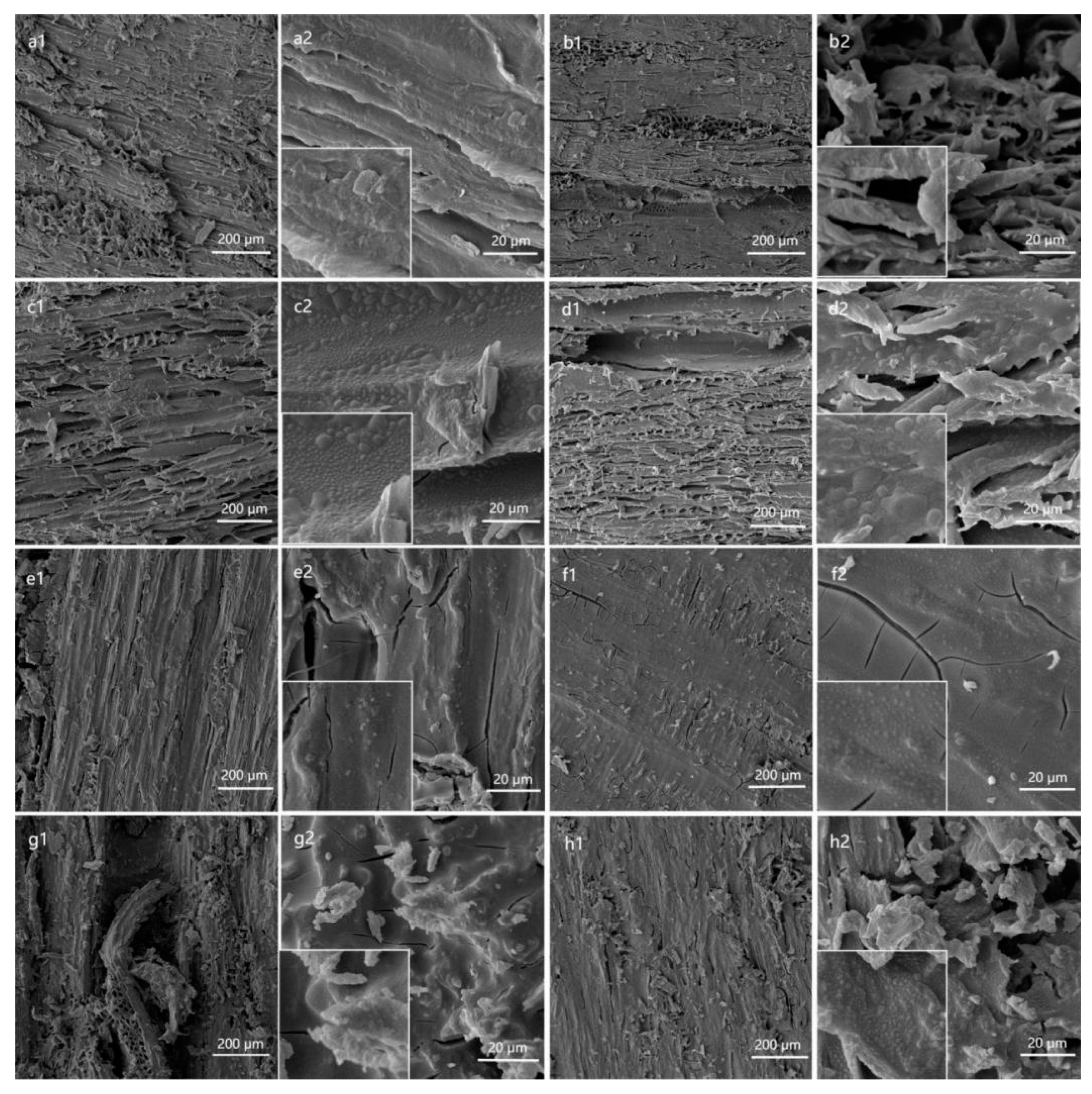 Polymers 15 01644 g004
