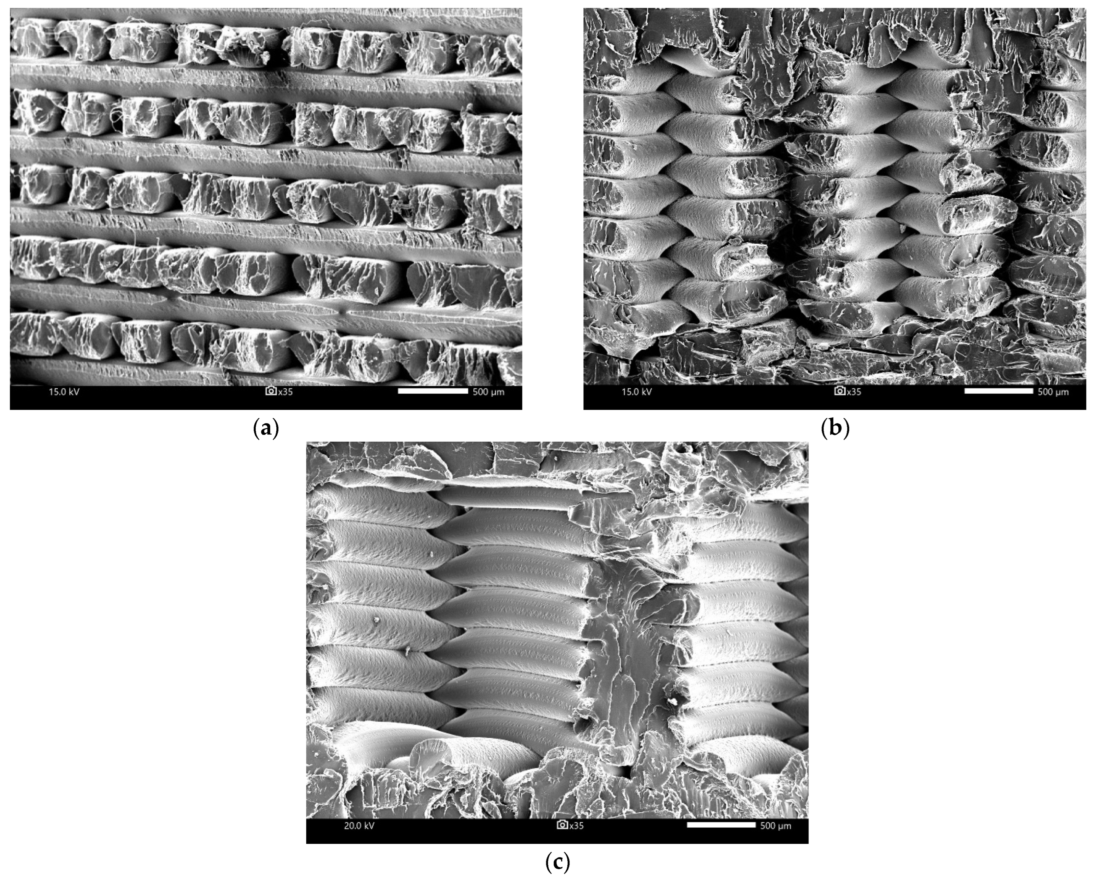 Polymers 15 01651 g005