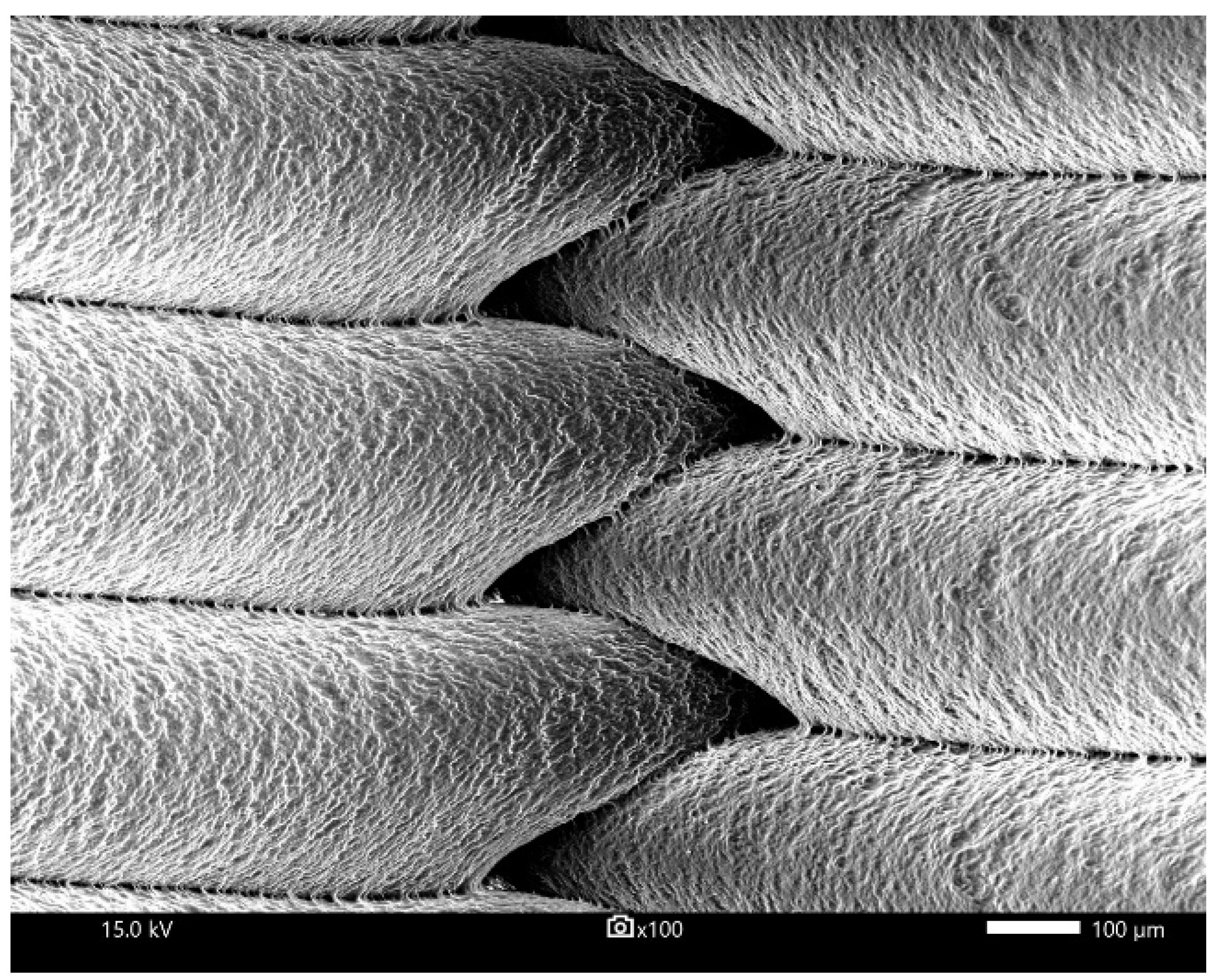 Polymers 15 01651 g006
