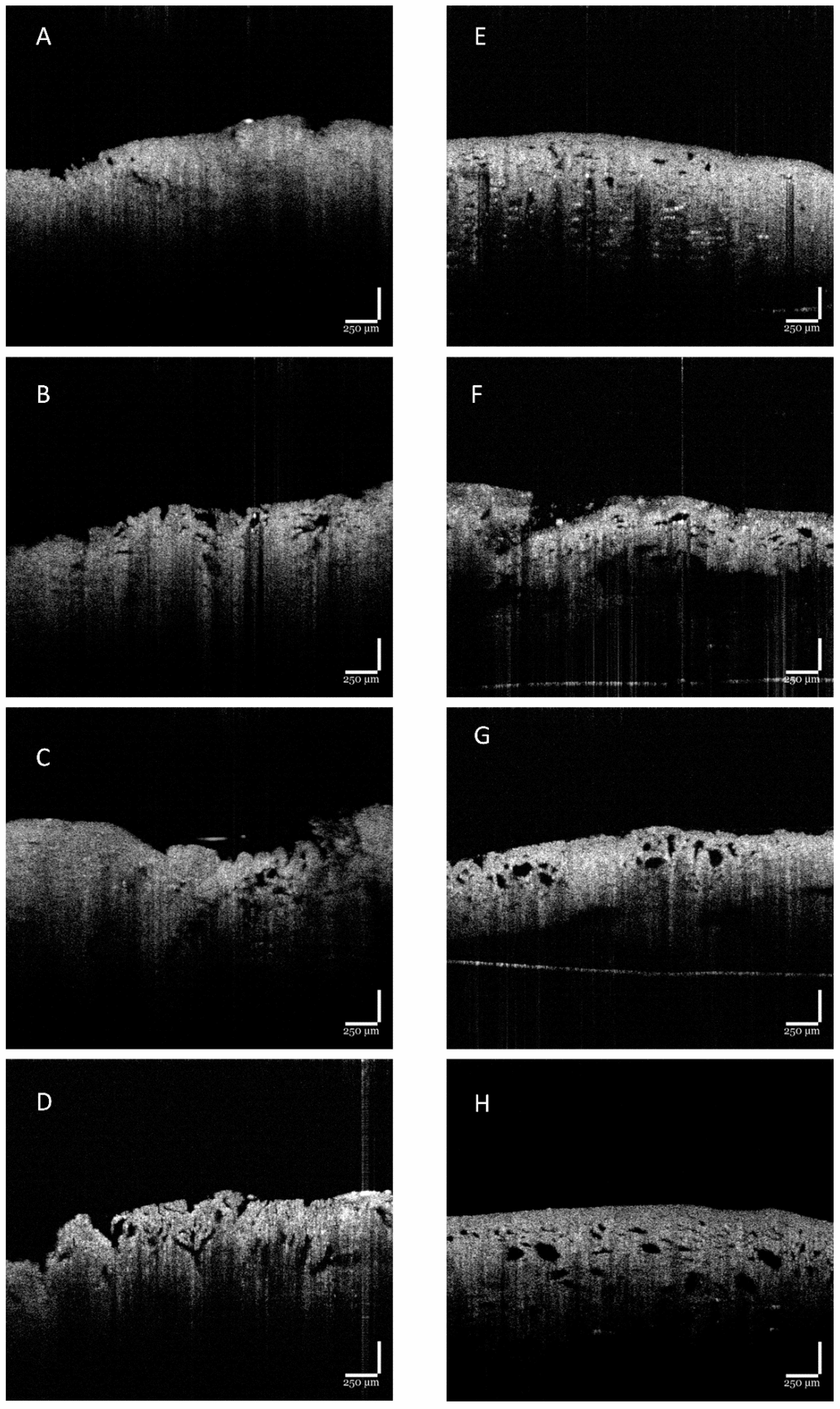 Polymers 15 01653 g003