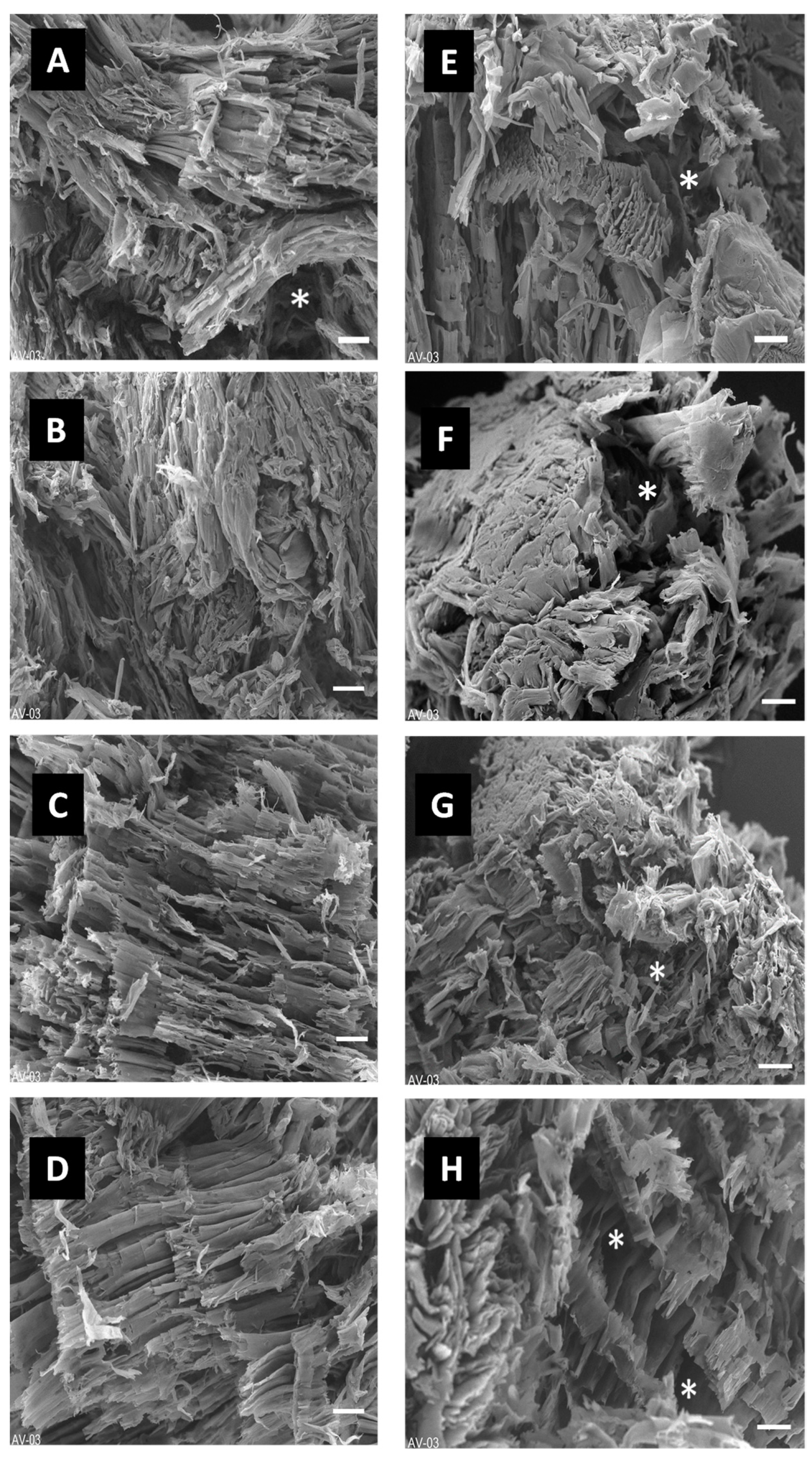 Polymers 15 01653 g004