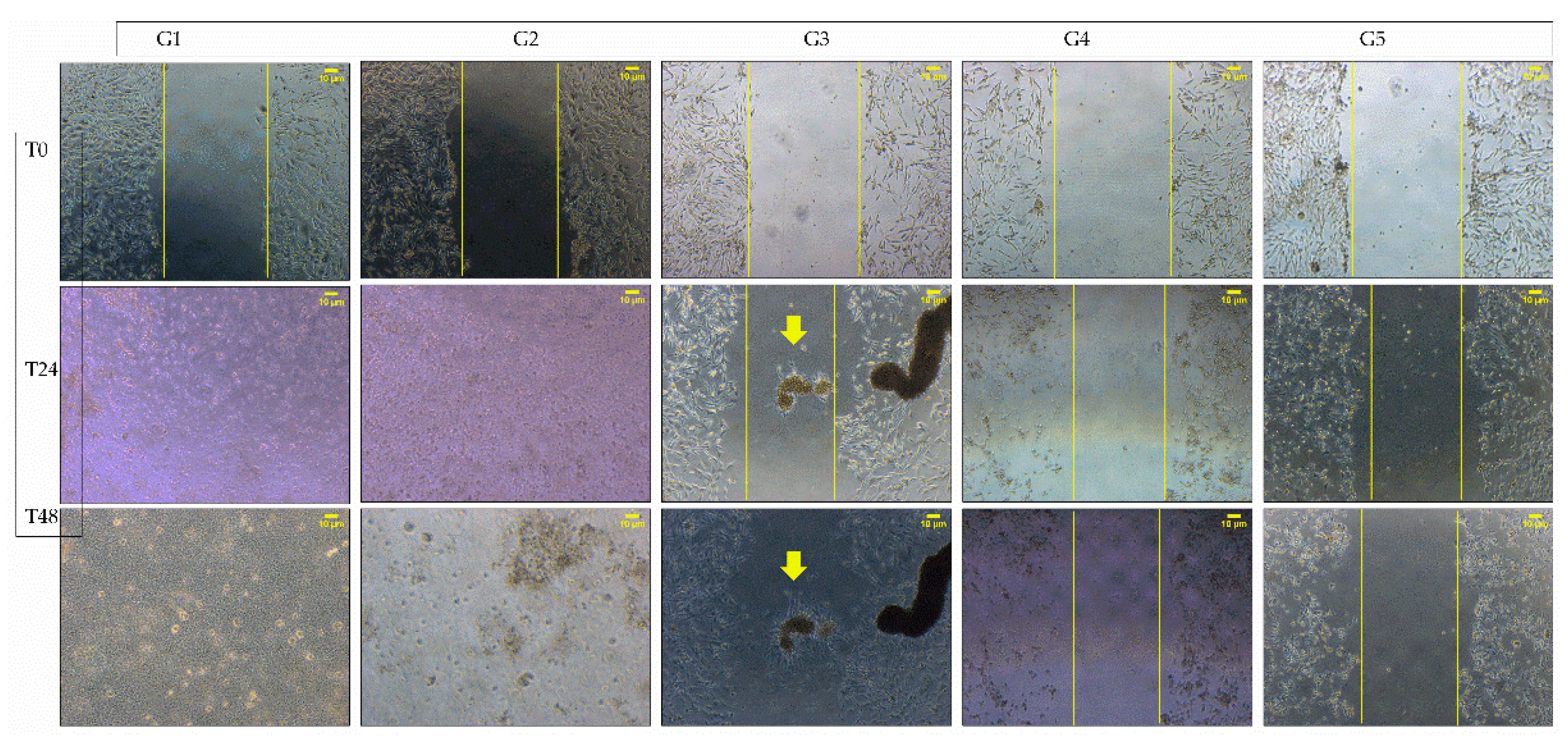Polymers 15 01653 g008