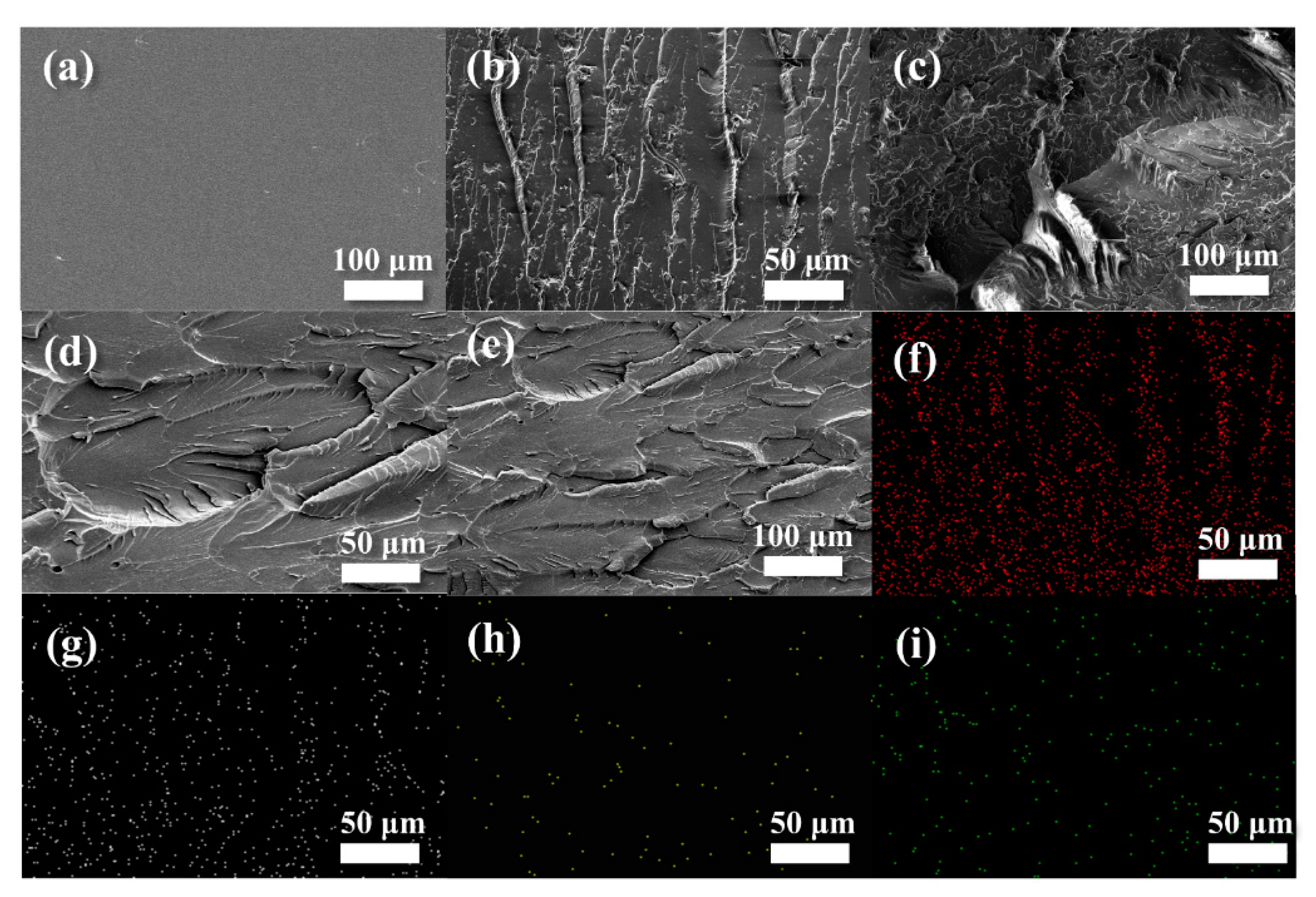 Polymers 15 01655 g003