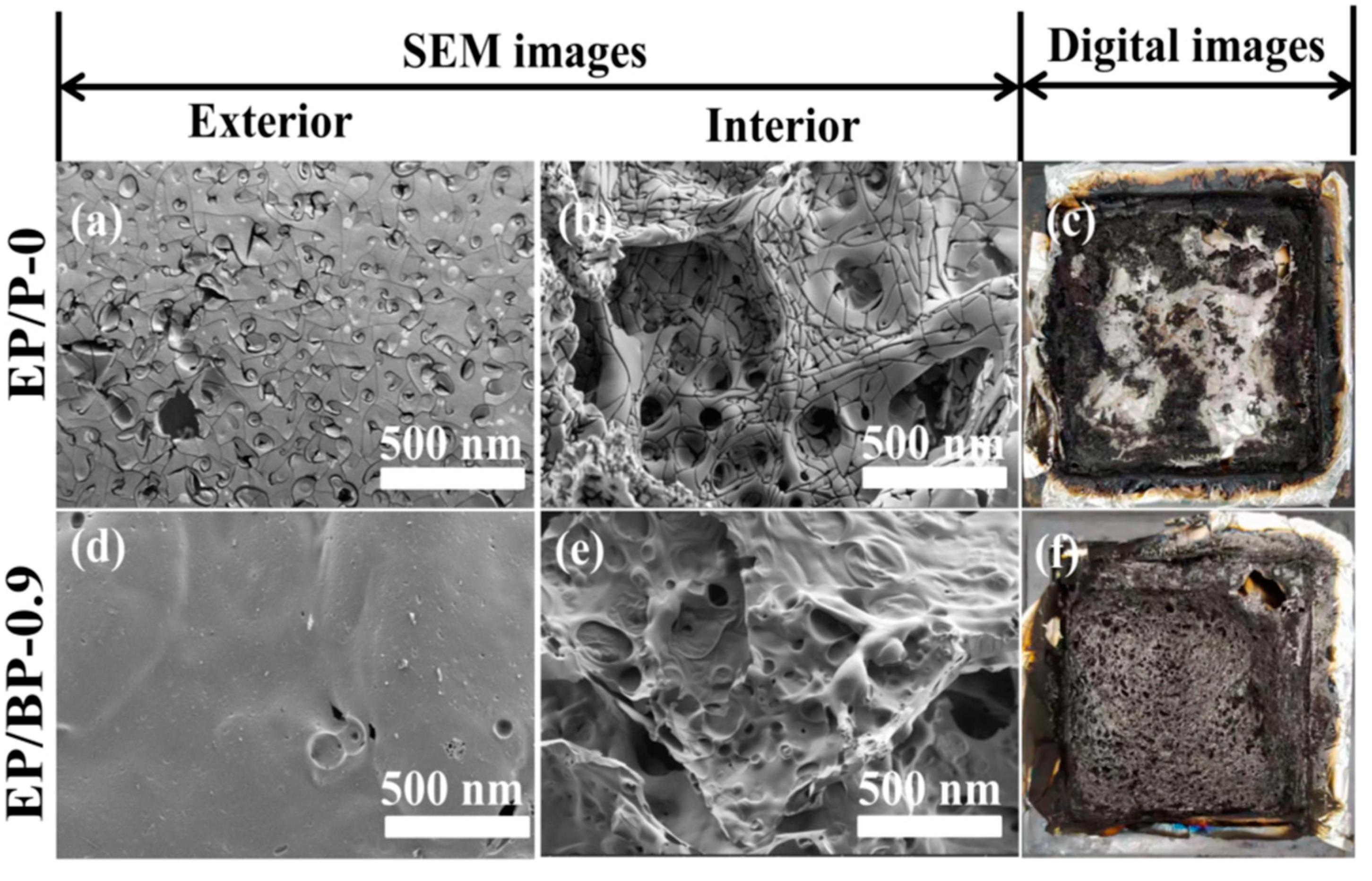 Polymers 15 01655 g005
