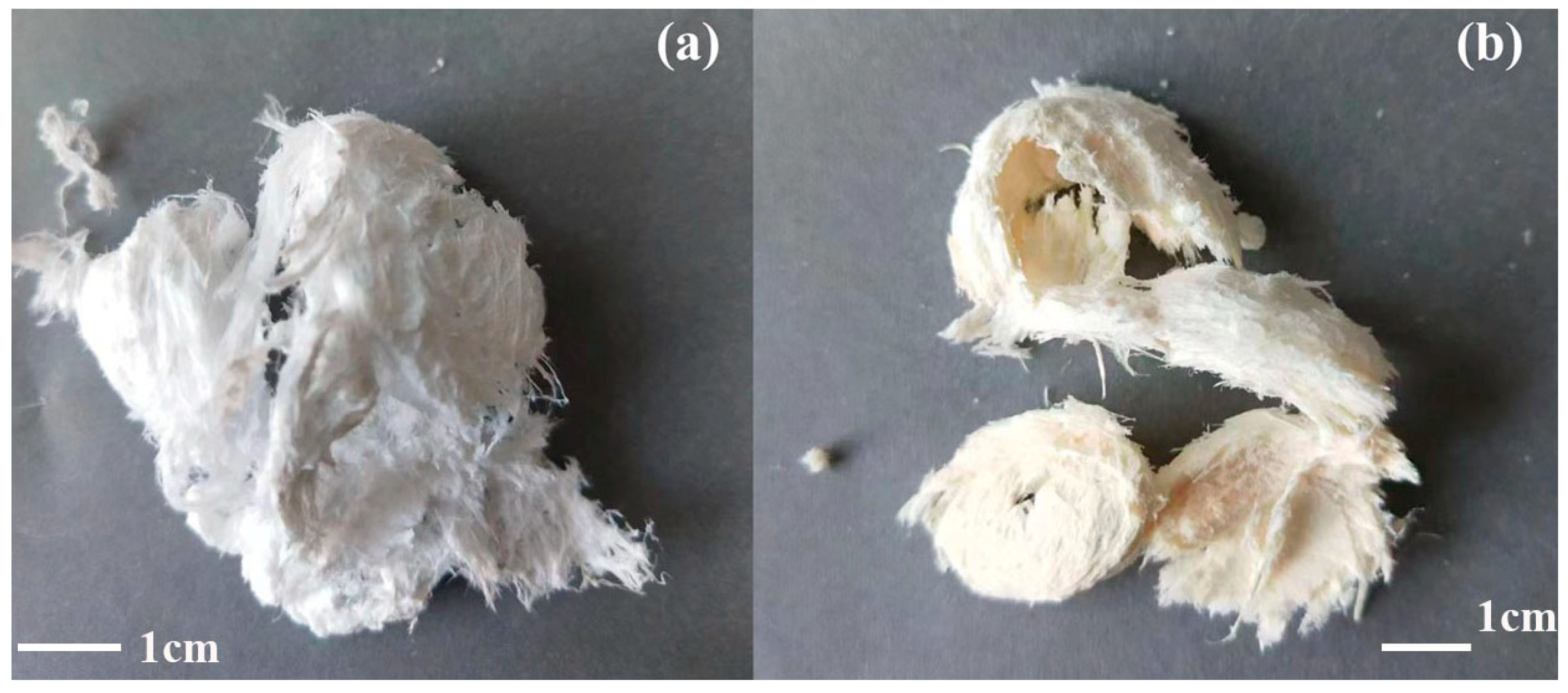 Polymers 15 01659 g001