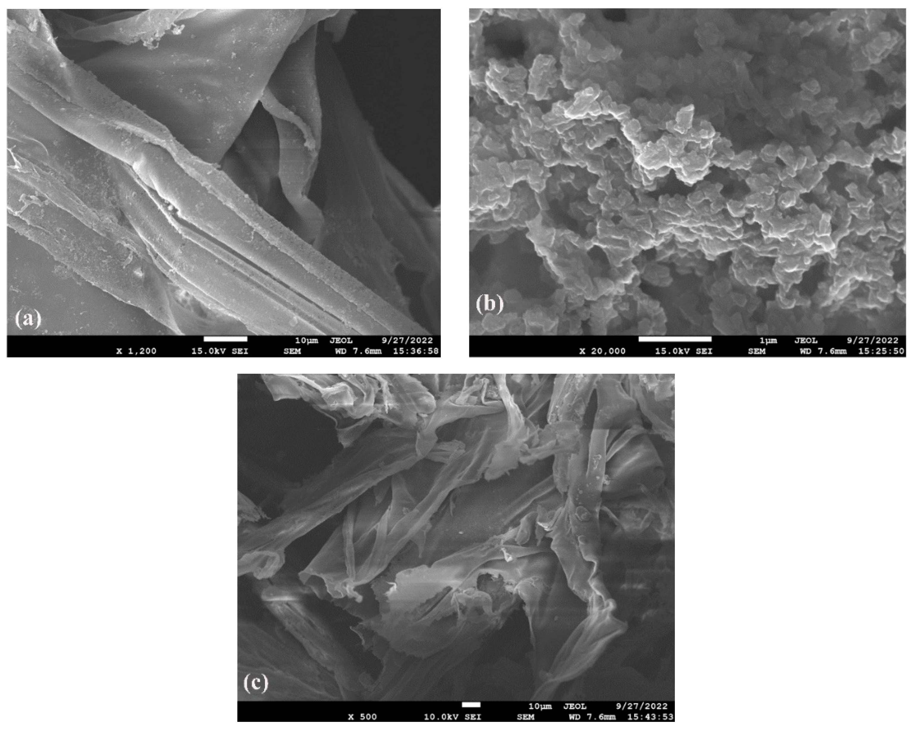 Polymers 15 01659 g003