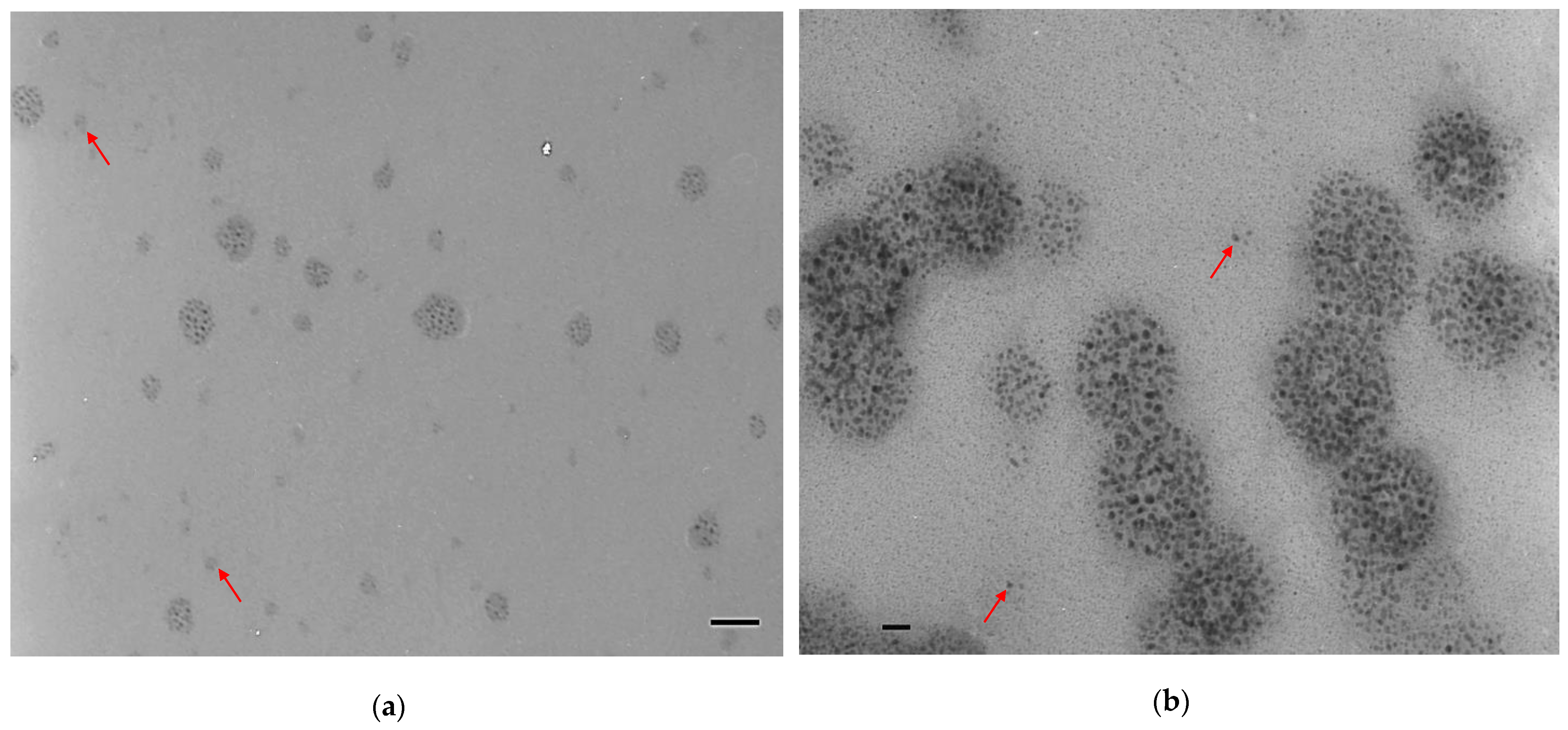 Polymers 15 01671 g008 Polymers 15 01671 g008