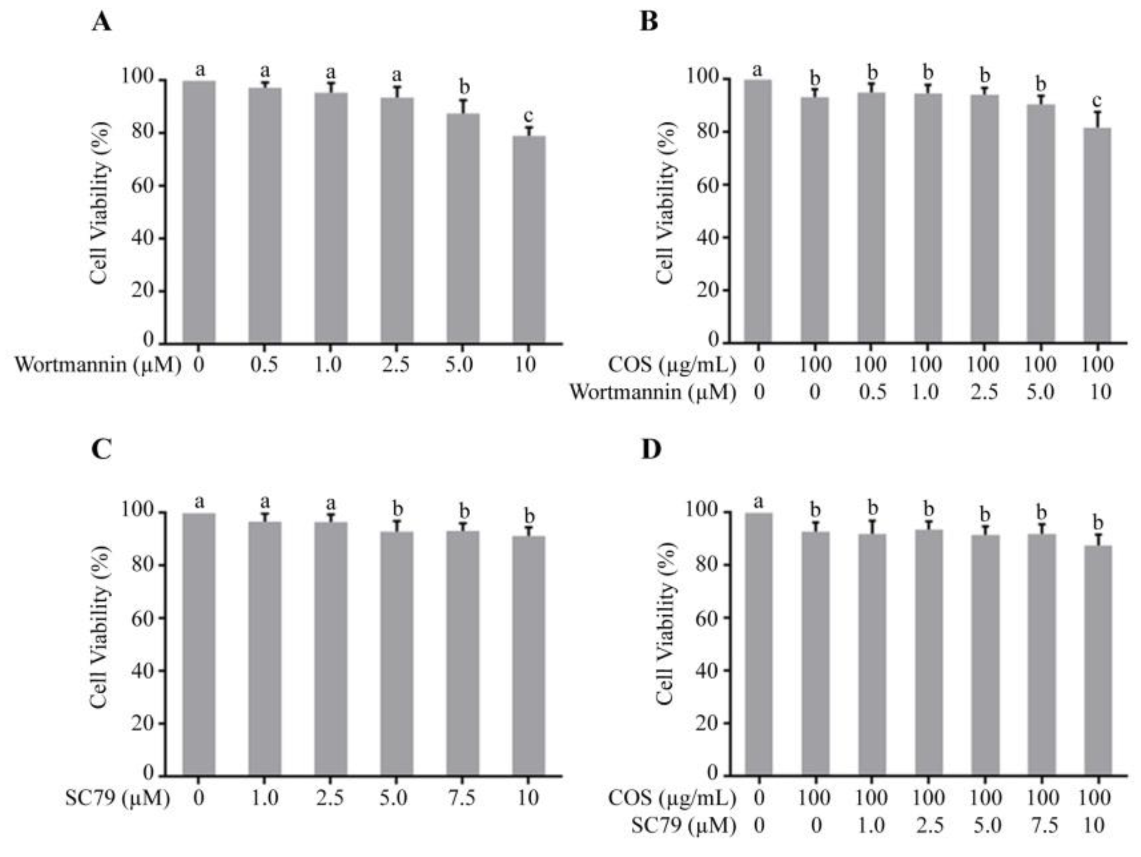 Polymers 15 01681 g001