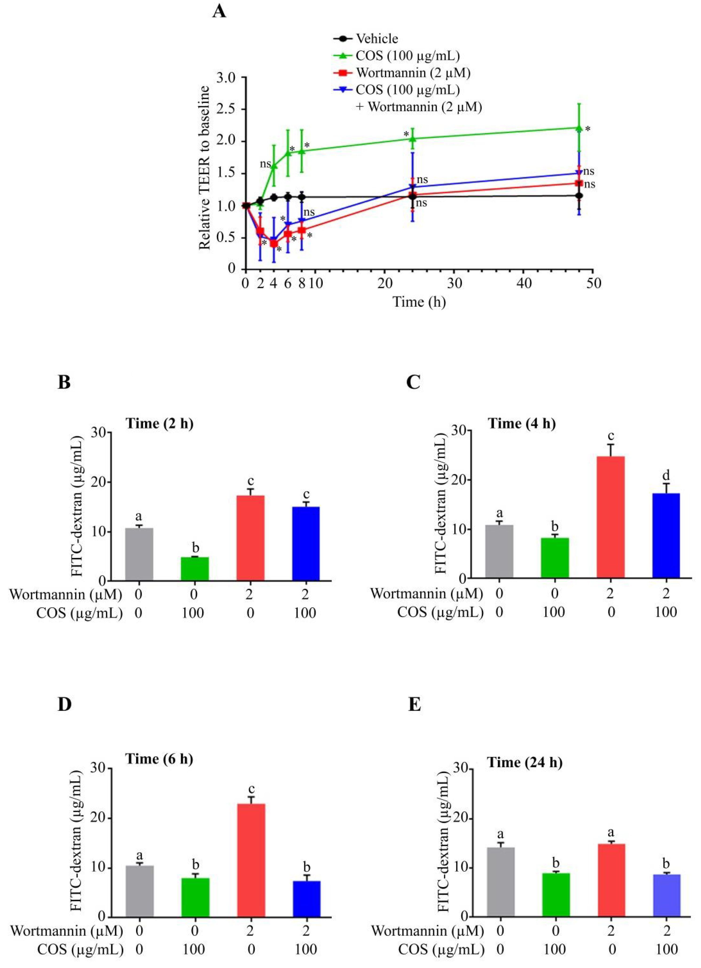 Polymers 15 01681 g002